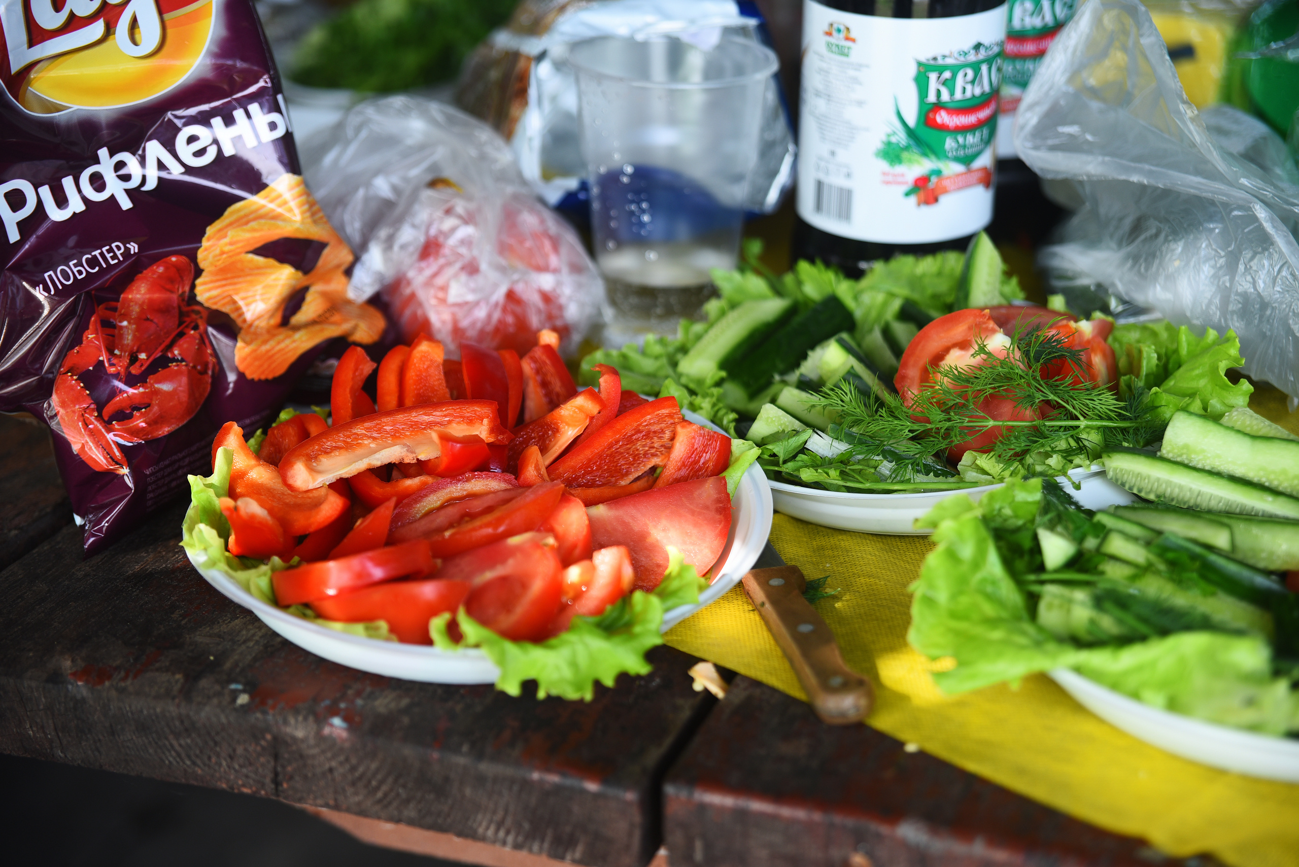 Выезд на природу. Выпуск-2019