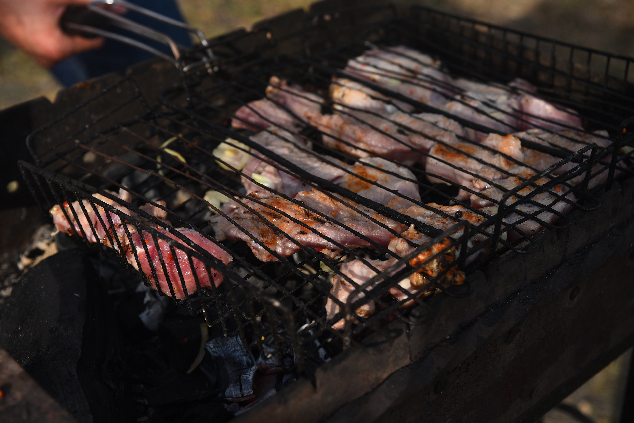 Выезд на природу. Выпуск-2019