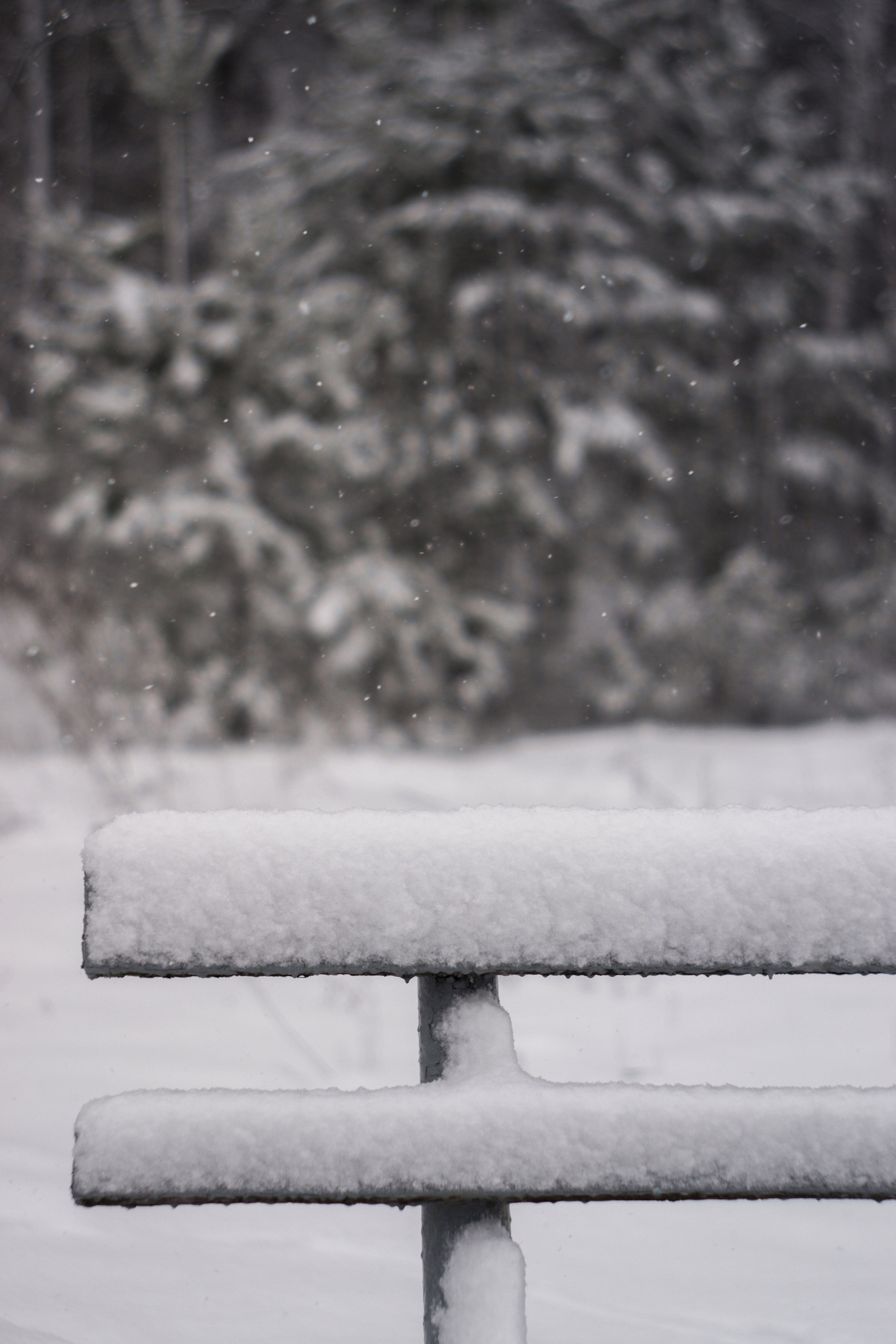 ЧБ  пейзажи (BnW landscape). Фотограф (photographer) Lischinski Vitaliy