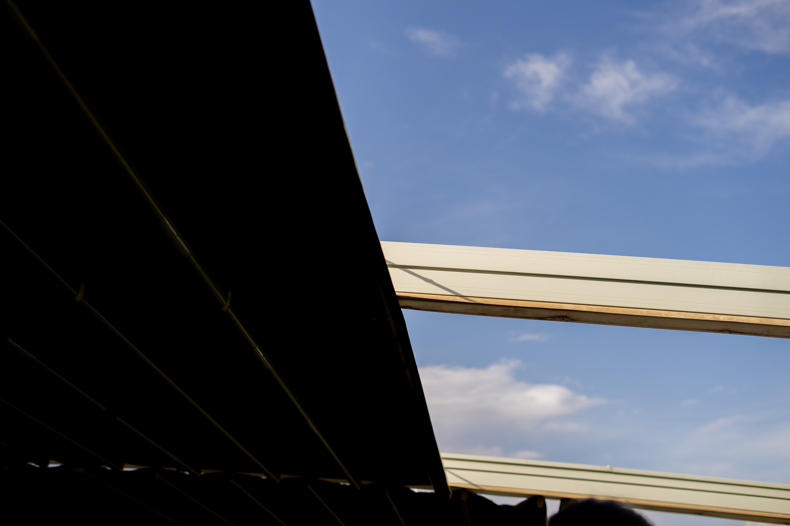 Master class from a florist. Портретный и семейный фотограф в Мариуполе, РФ. Даша Жогло