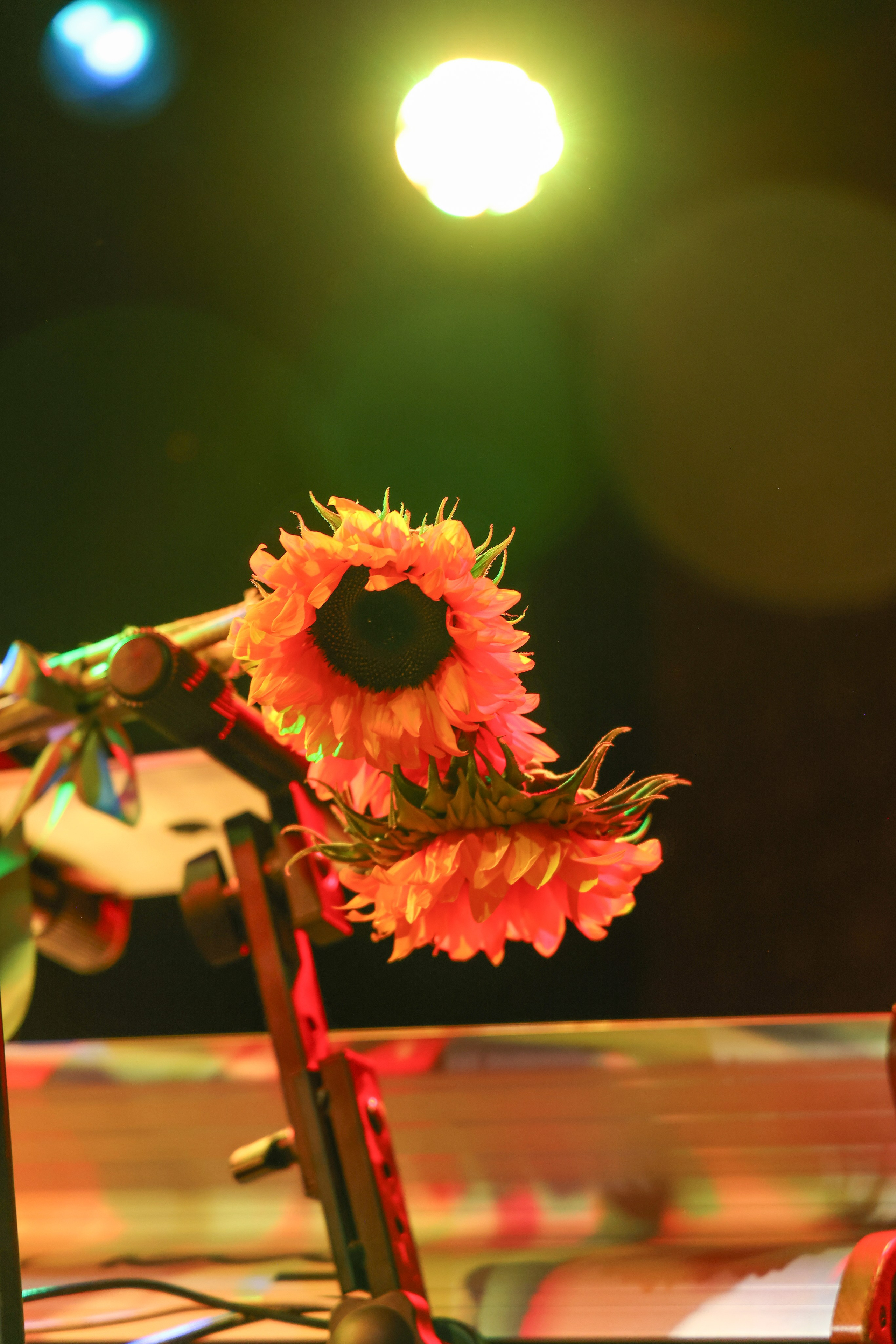 Профсоюз группа «Горечь». Фотограф Антон Чупринин