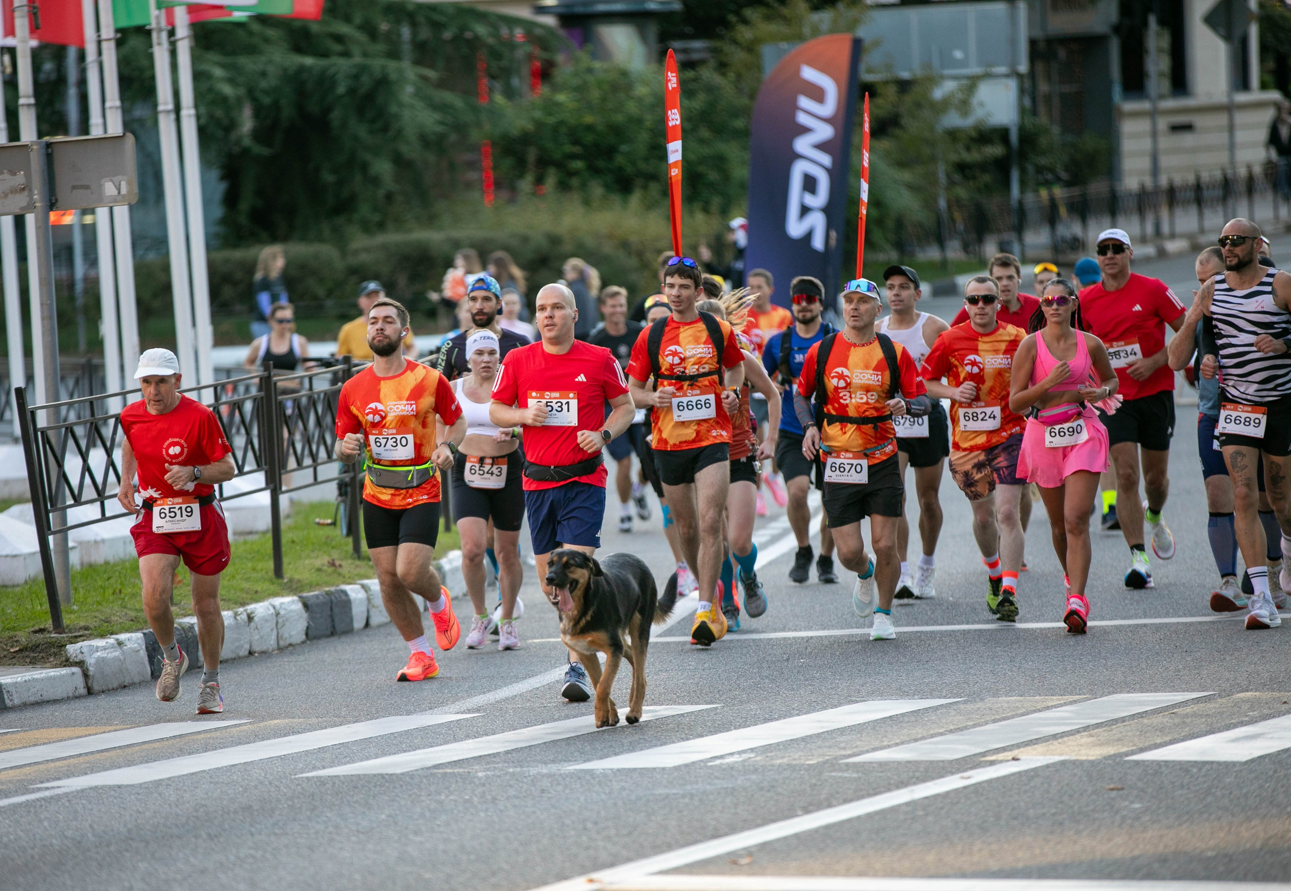 Сочи Марафон по бегу — 2025.11.03. Фотограф из Сочи Регина Труфанова