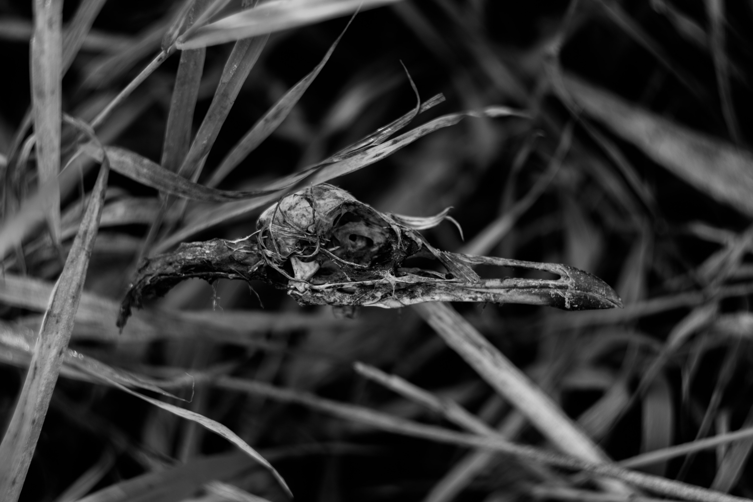И вокруг меня. Портретный и концертный фотограф в Санкт-Петербурге Егор Телятников