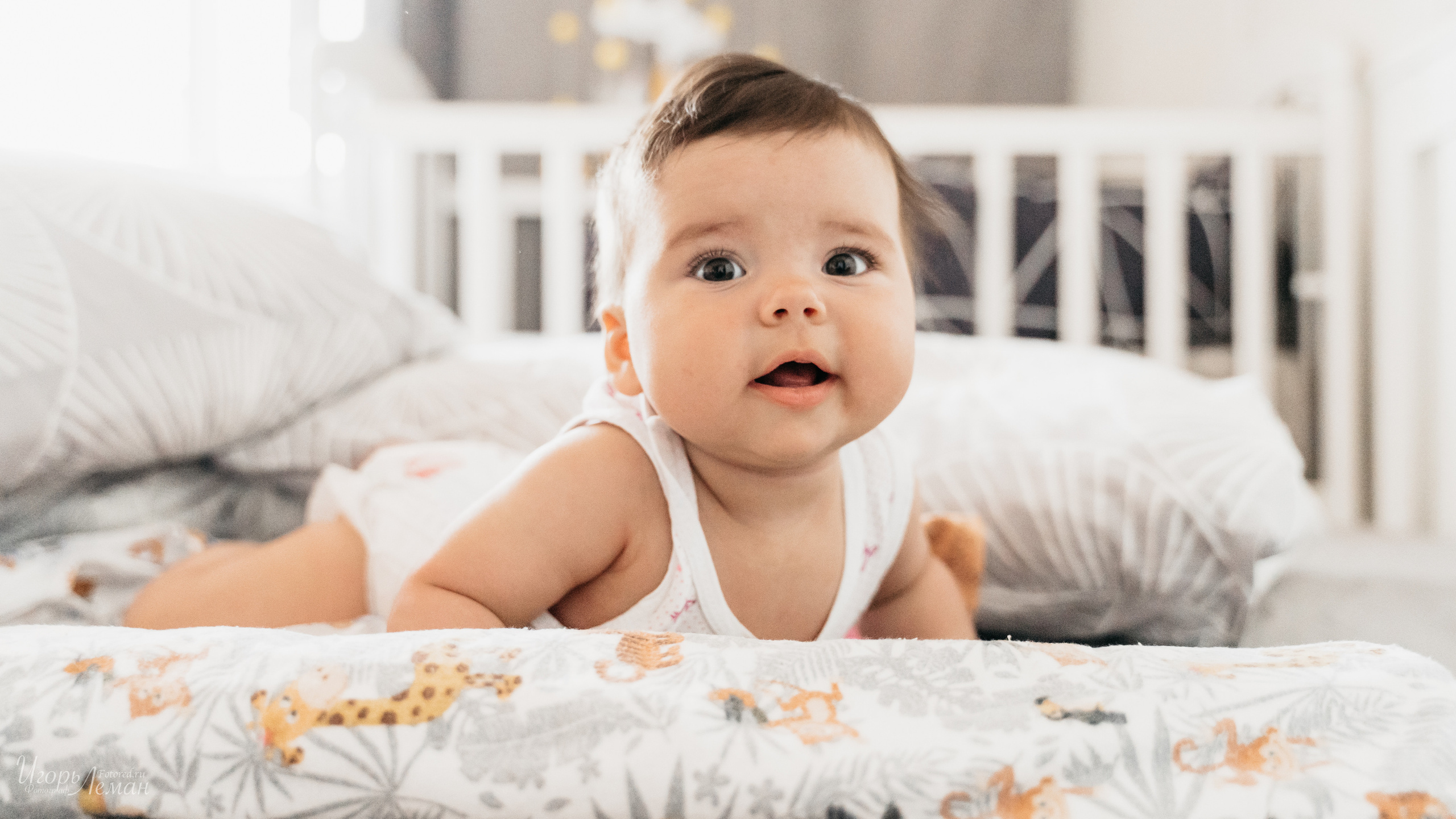 Детская. Свадебный и семейный фотограф Калининград Зеленоградск Светлогорск Леман Игорь