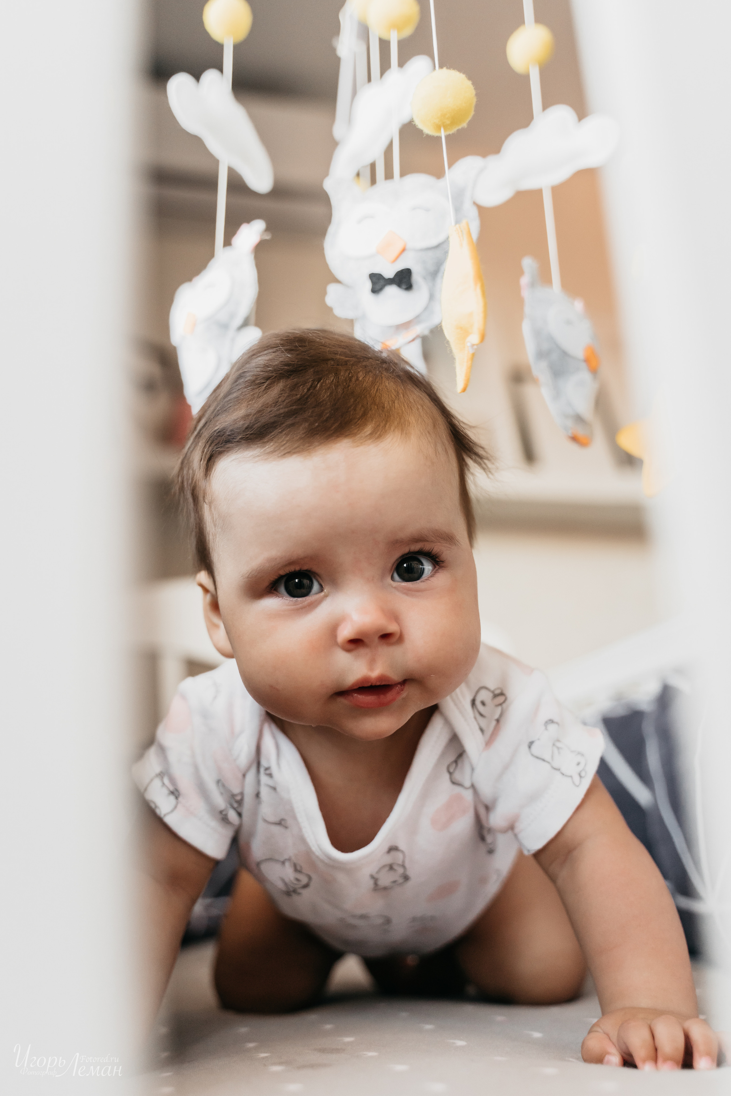 Детская. Свадебный и семейный фотограф Калининград Зеленоградск Светлогорск Леман Игорь