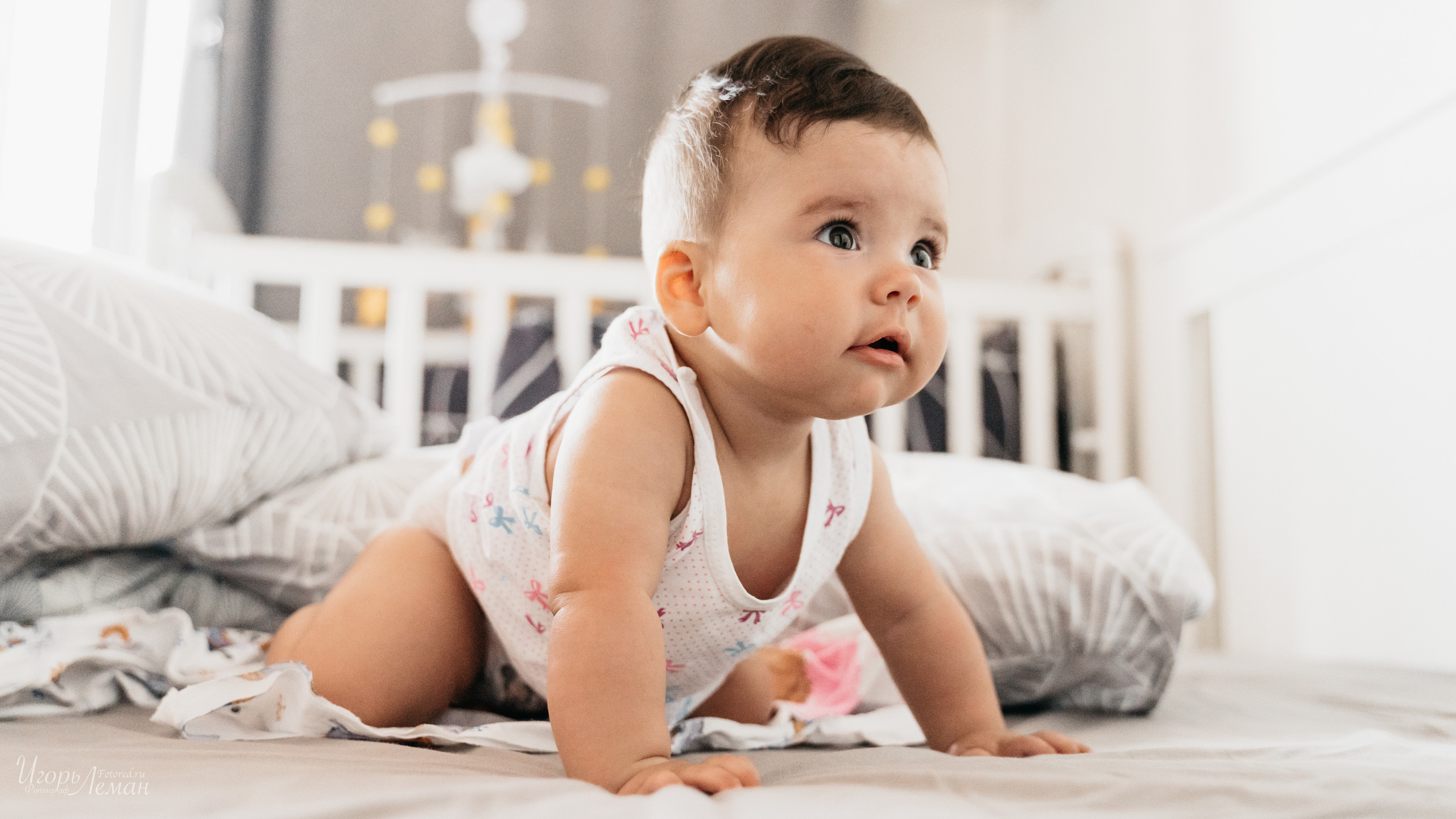 Детская. Свадебный и семейный фотограф Калининград Зеленоградск Светлогорск Леман Игорь