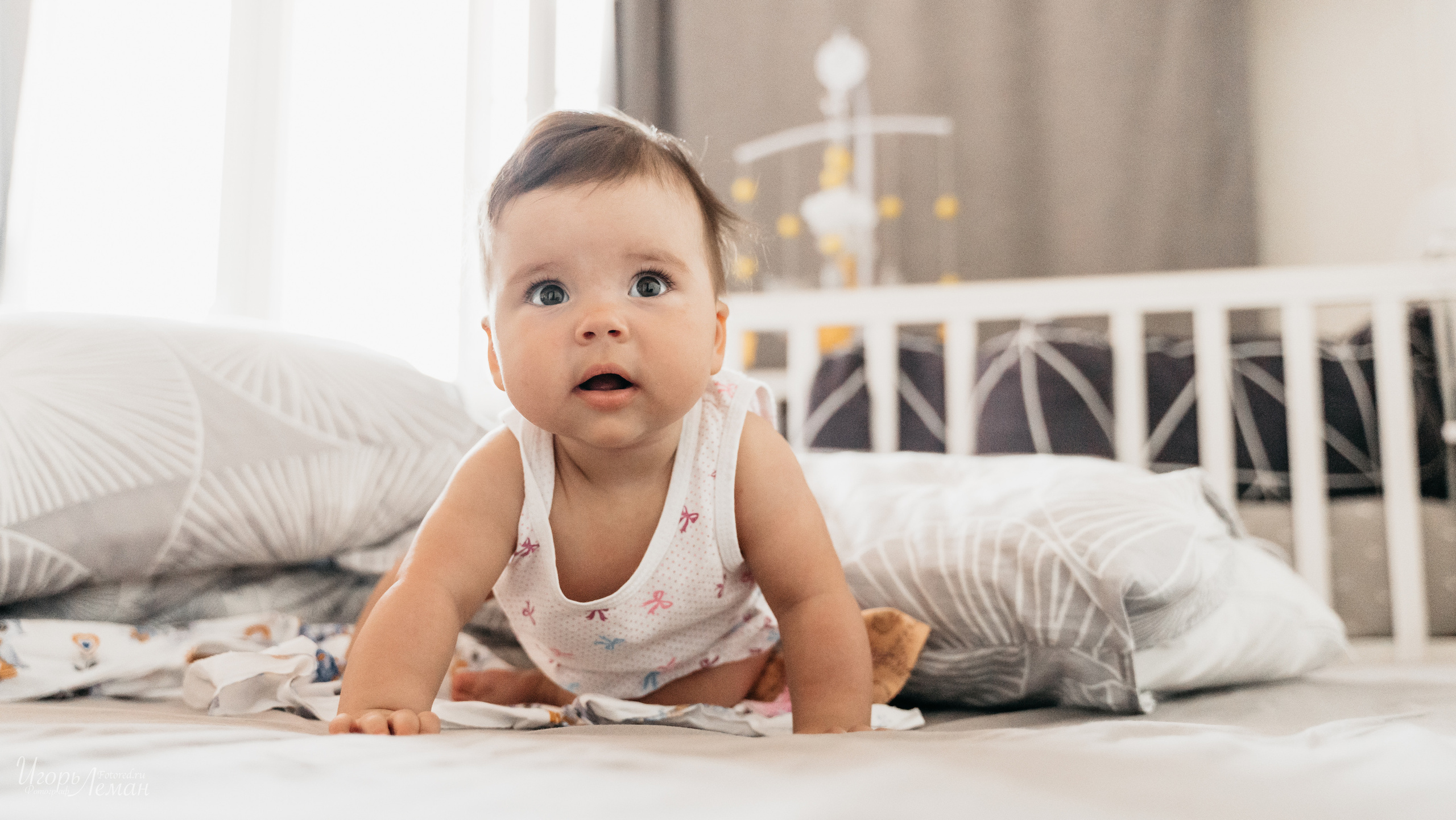 Детская. Свадебный и семейный фотограф Калининград Зеленоградск Светлогорск Леман Игорь