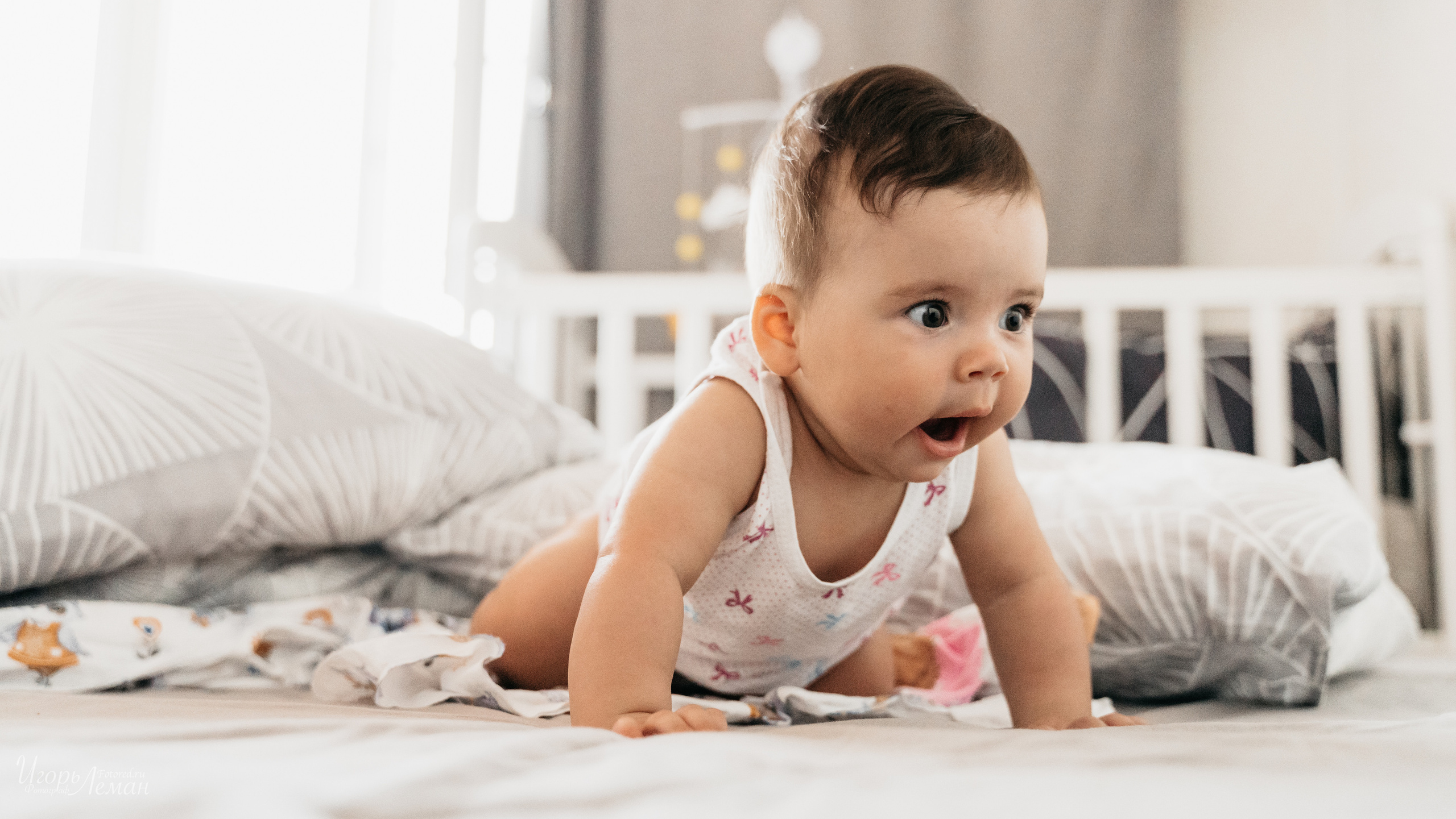 Детская. Свадебный и семейный фотограф Калининград Зеленоградск Светлогорск Леман Игорь