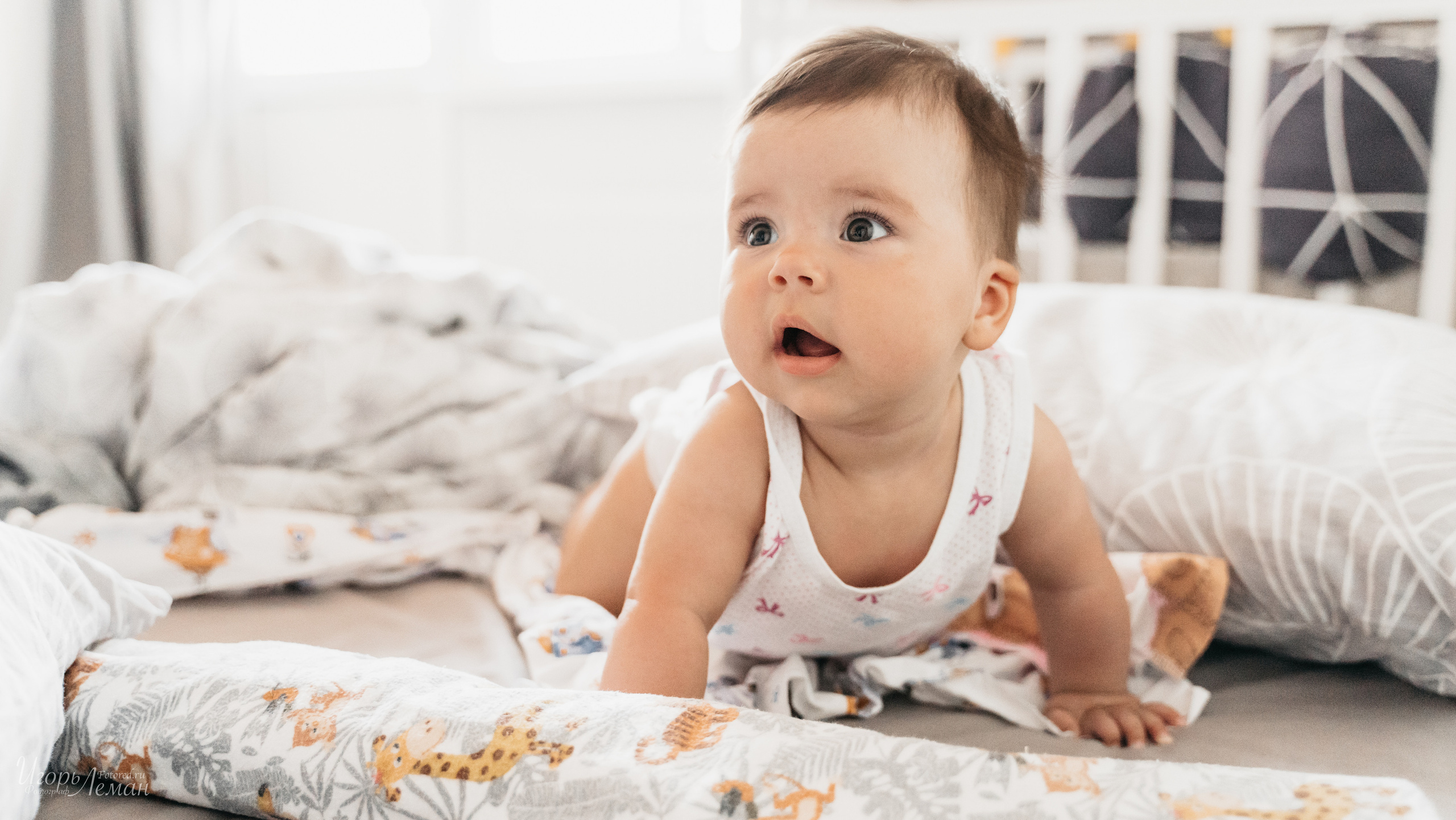 Детская. Свадебный и семейный фотограф Калининград Зеленоградск Светлогорск Леман Игорь