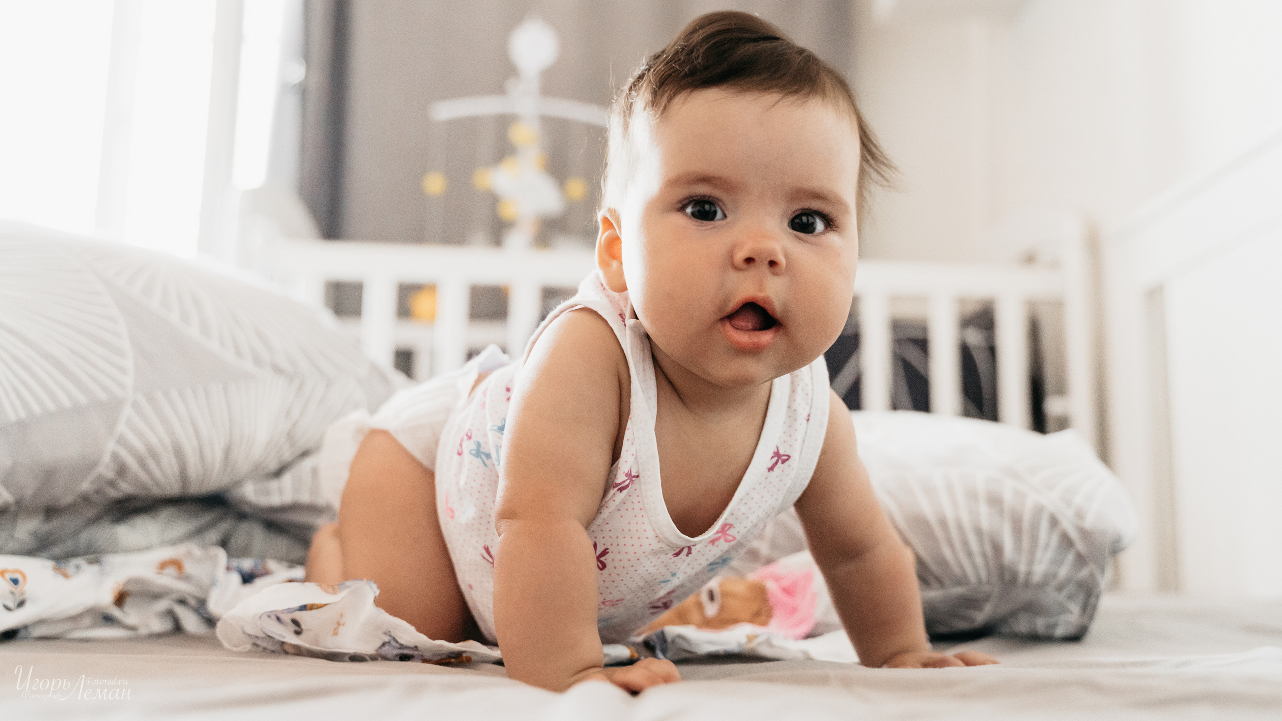 Детская. Свадебный и семейный фотограф Калининград Зеленоградск Светлогорск Леман Игорь