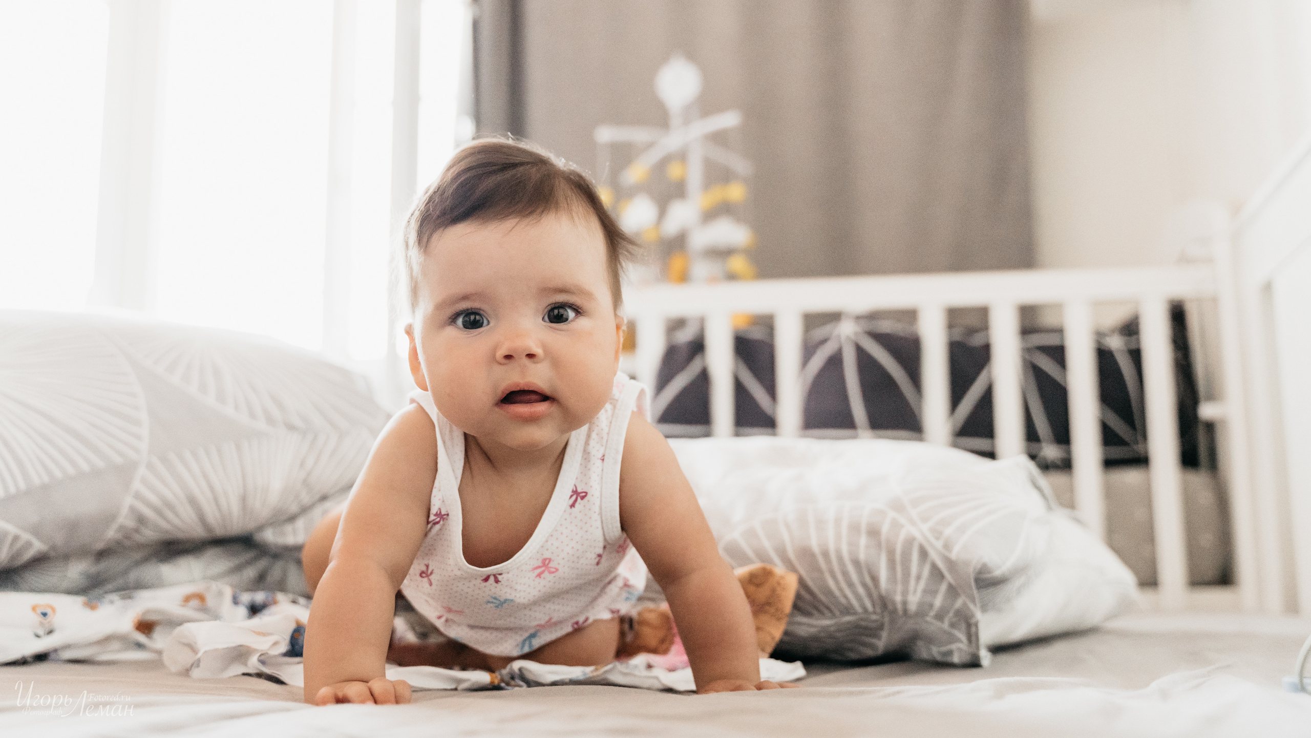 Детская. Свадебный и семейный фотограф Калининград Зеленоградск Светлогорск Леман Игорь