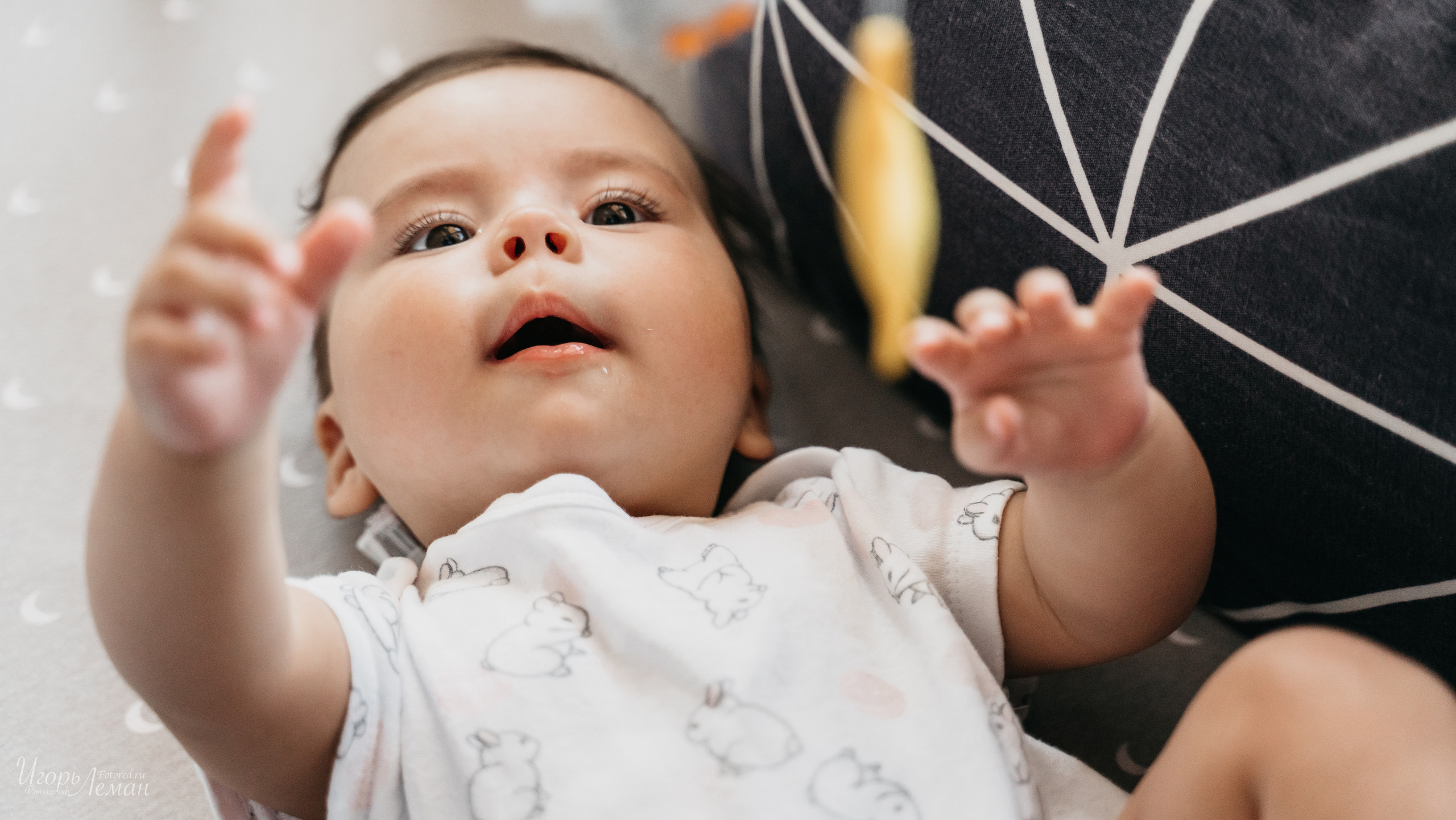 Детская. Свадебный и семейный фотограф Калининград Зеленоградск Светлогорск Леман Игорь