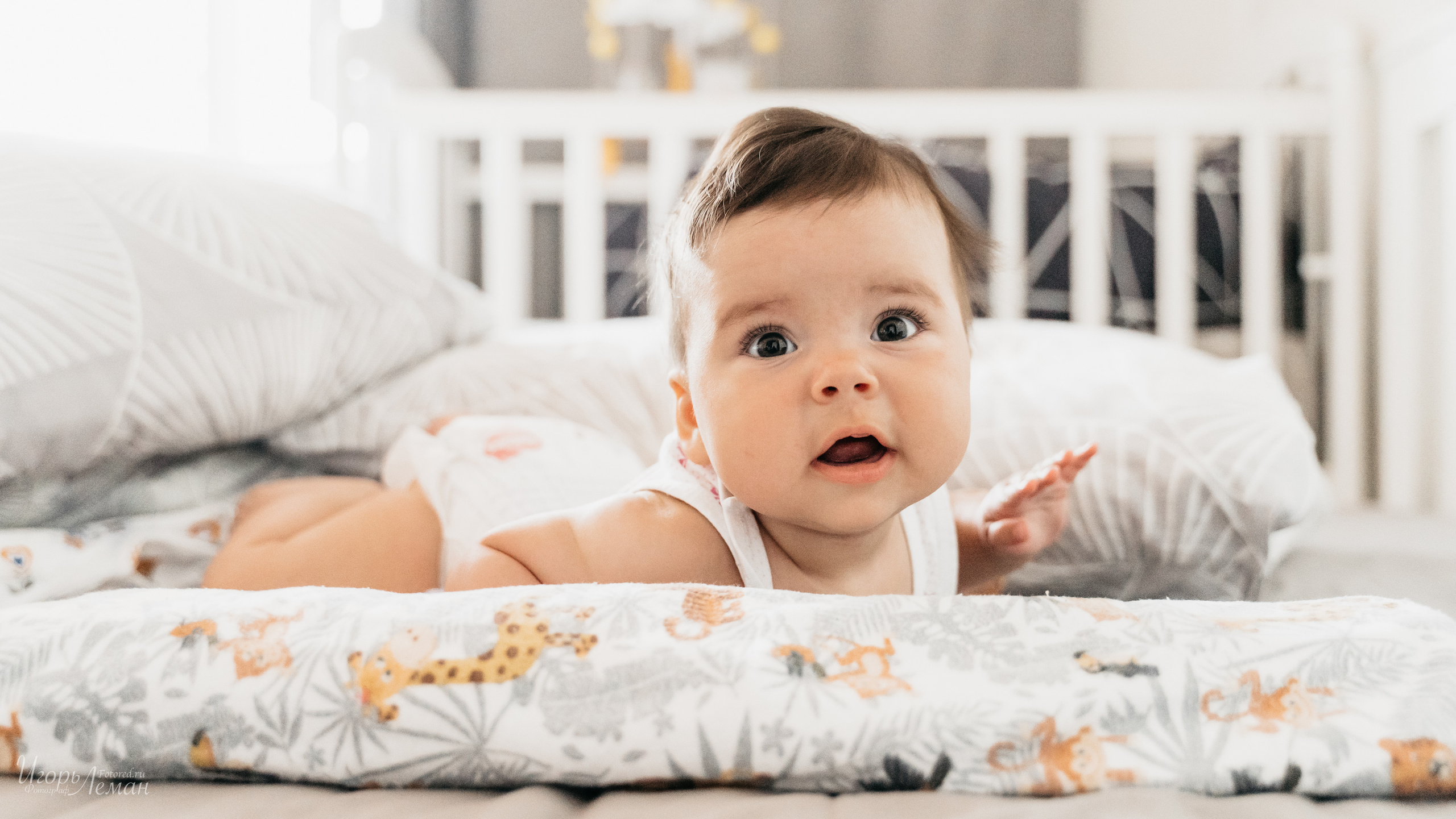 Детская. Свадебный и семейный фотограф Калининград Зеленоградск Светлогорск Леман Игорь