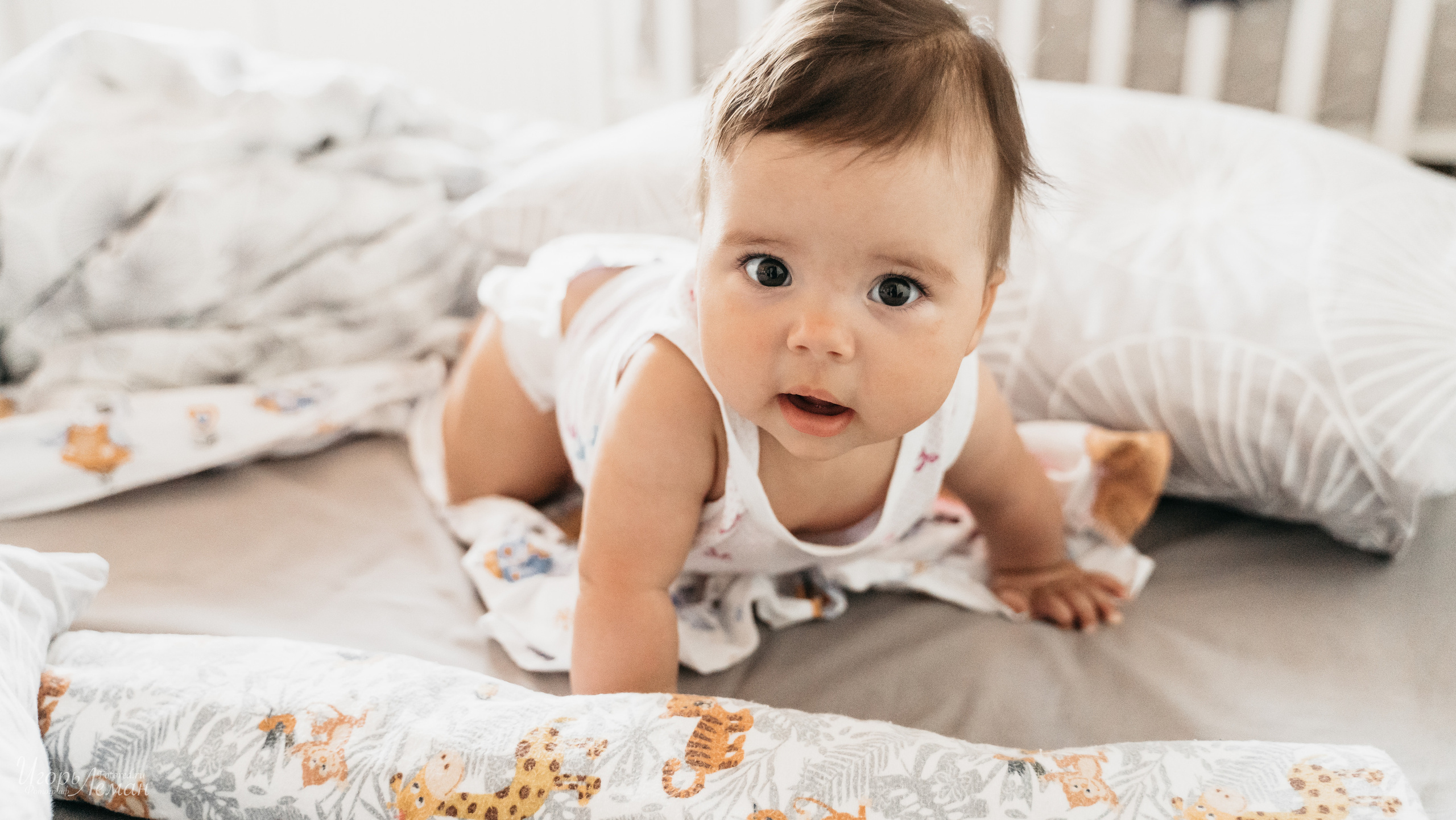 Детская. Свадебный и семейный фотограф Калининград Зеленоградск Светлогорск Леман Игорь