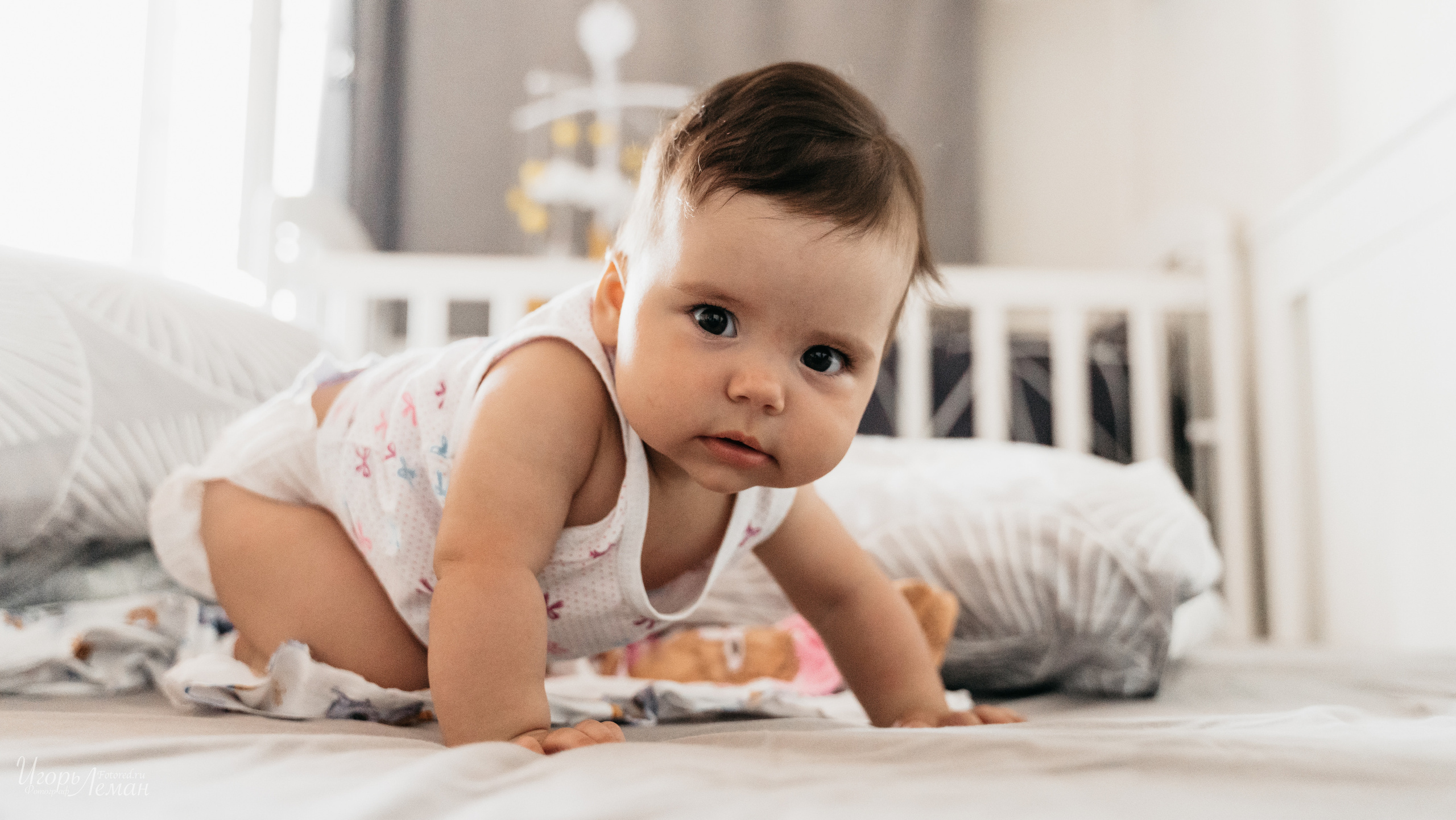 Детская. Свадебный и семейный фотограф Калининград Зеленоградск Светлогорск Леман Игорь