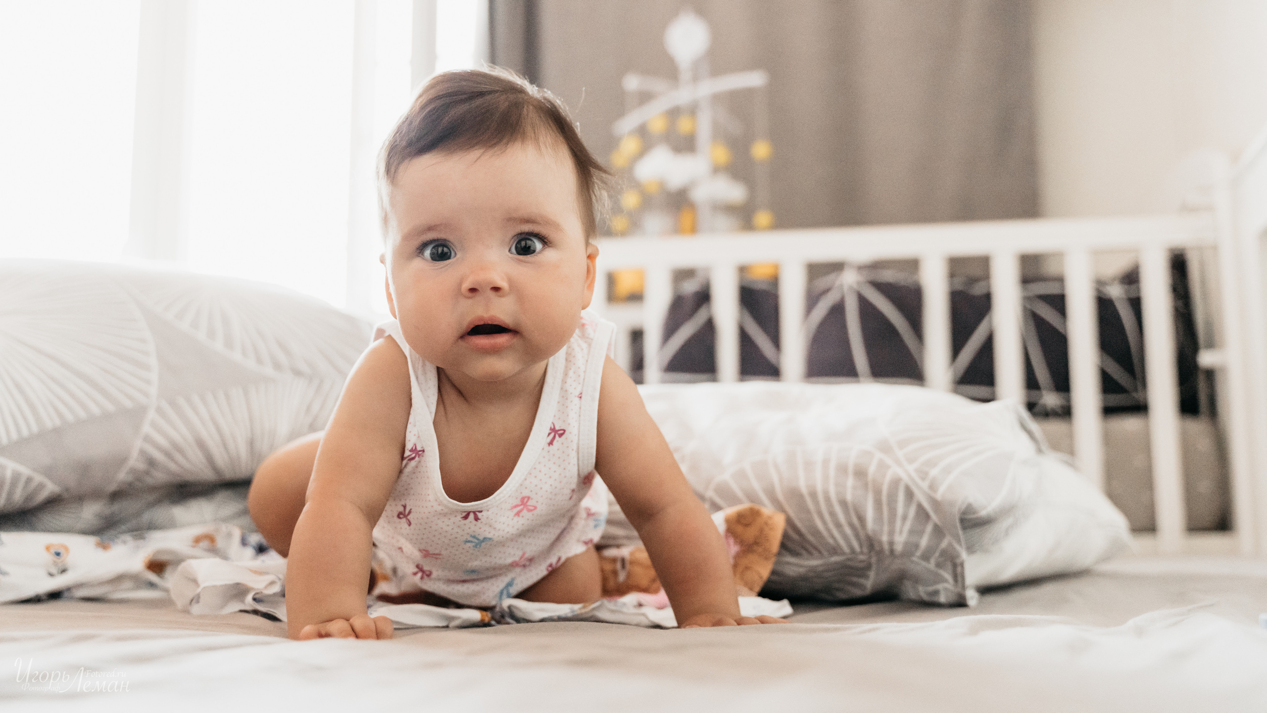 Детская. Свадебный и семейный фотограф Калининград Зеленоградск Светлогорск Леман Игорь