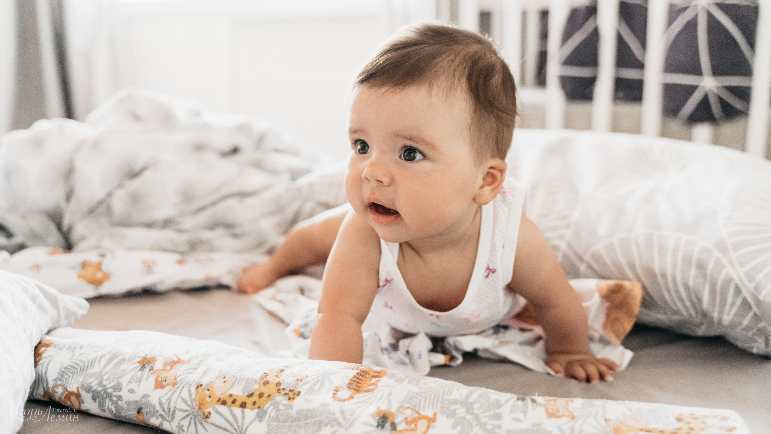 Детская. Свадебный и семейный фотограф Калининград Зеленоградск Светлогорск Леман Игорь