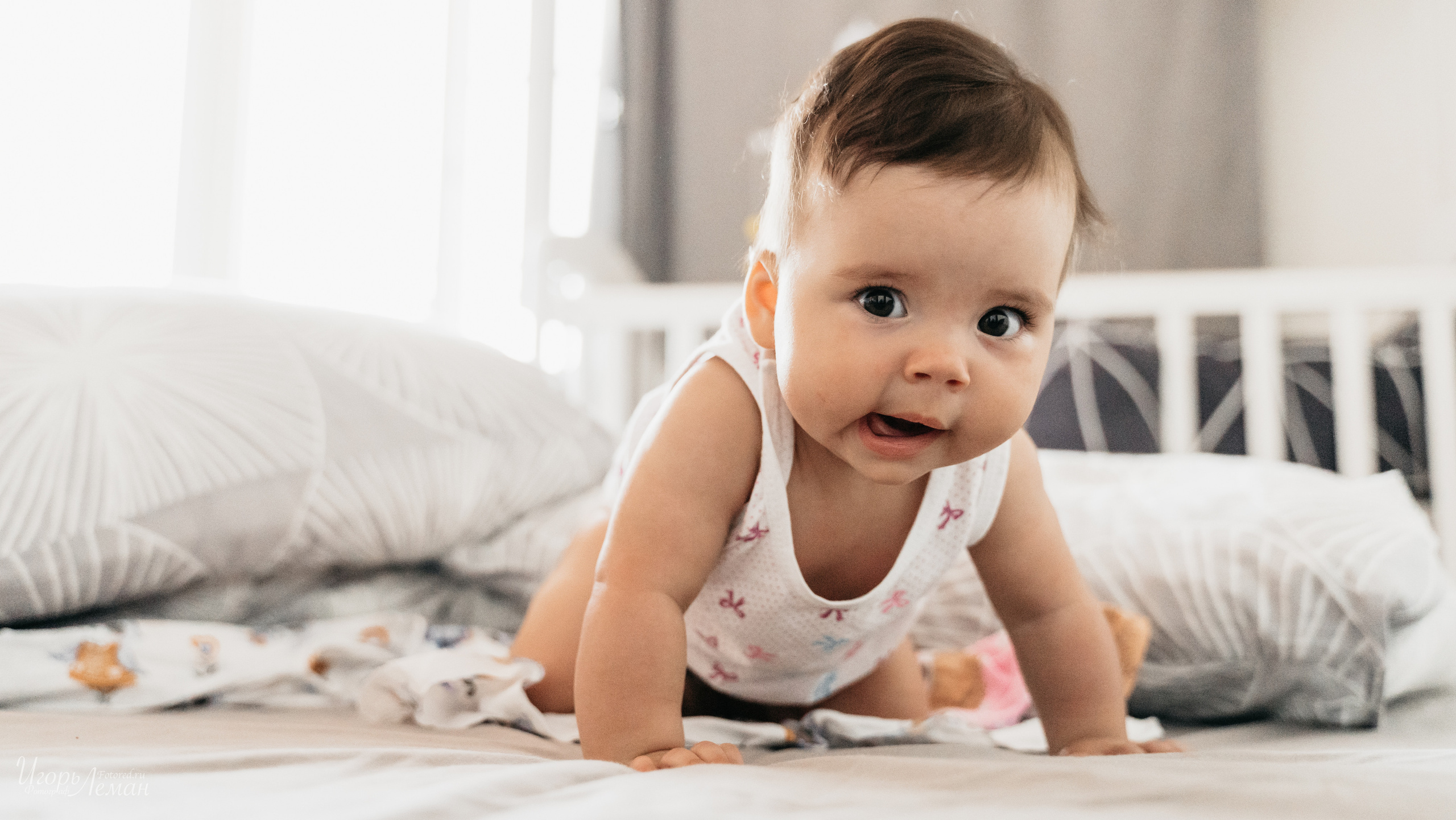 Детская. Свадебный и семейный фотограф Калининград Зеленоградск Светлогорск Леман Игорь