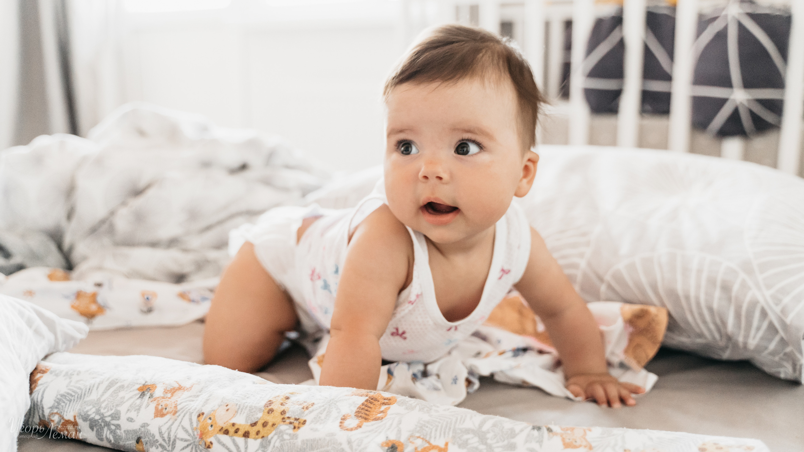 Детская. Свадебный и семейный фотограф Калининград Зеленоградск Светлогорск Леман Игорь
