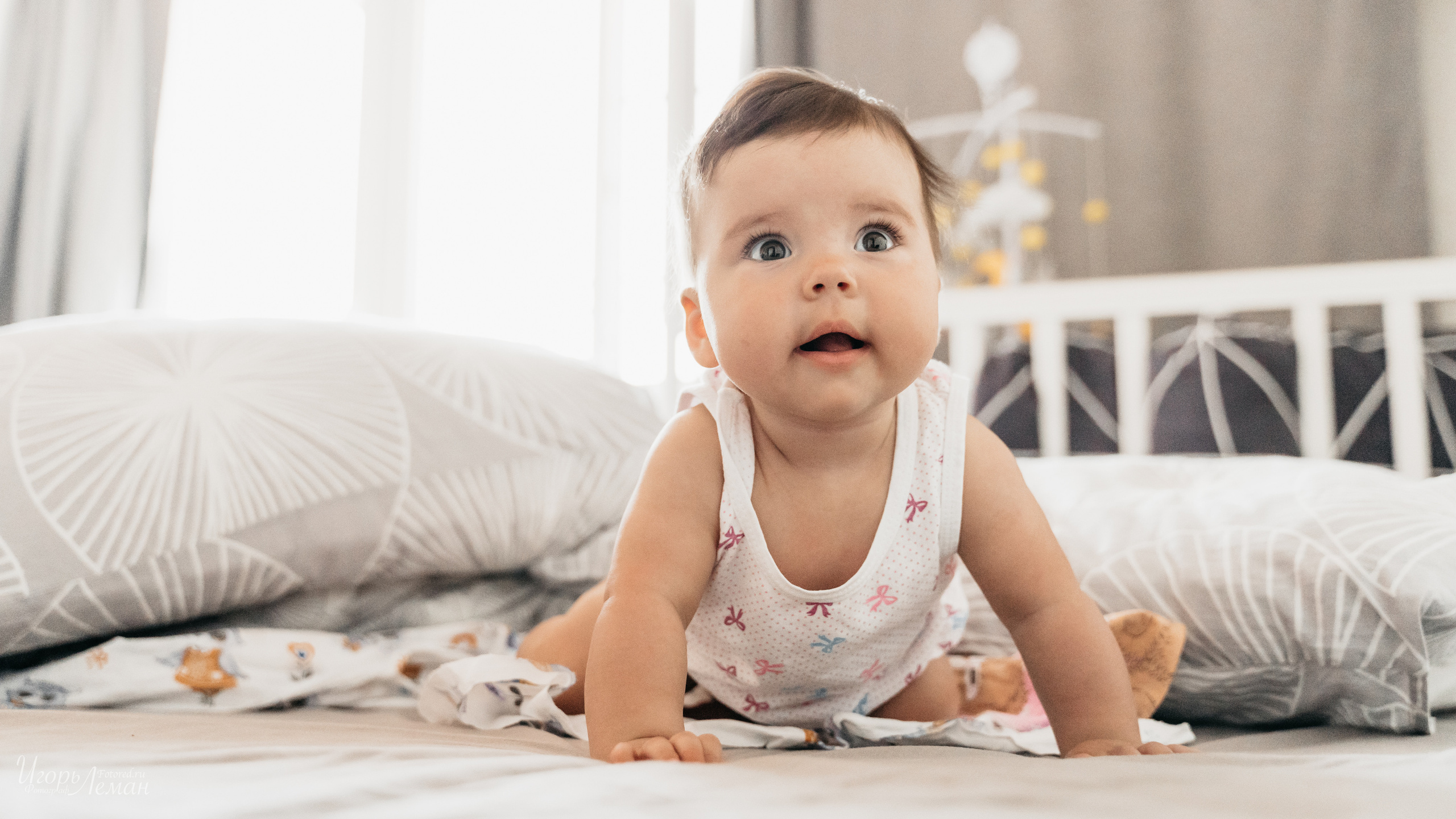 Детская. Свадебный и семейный фотограф Калининград Зеленоградск Светлогорск Леман Игорь