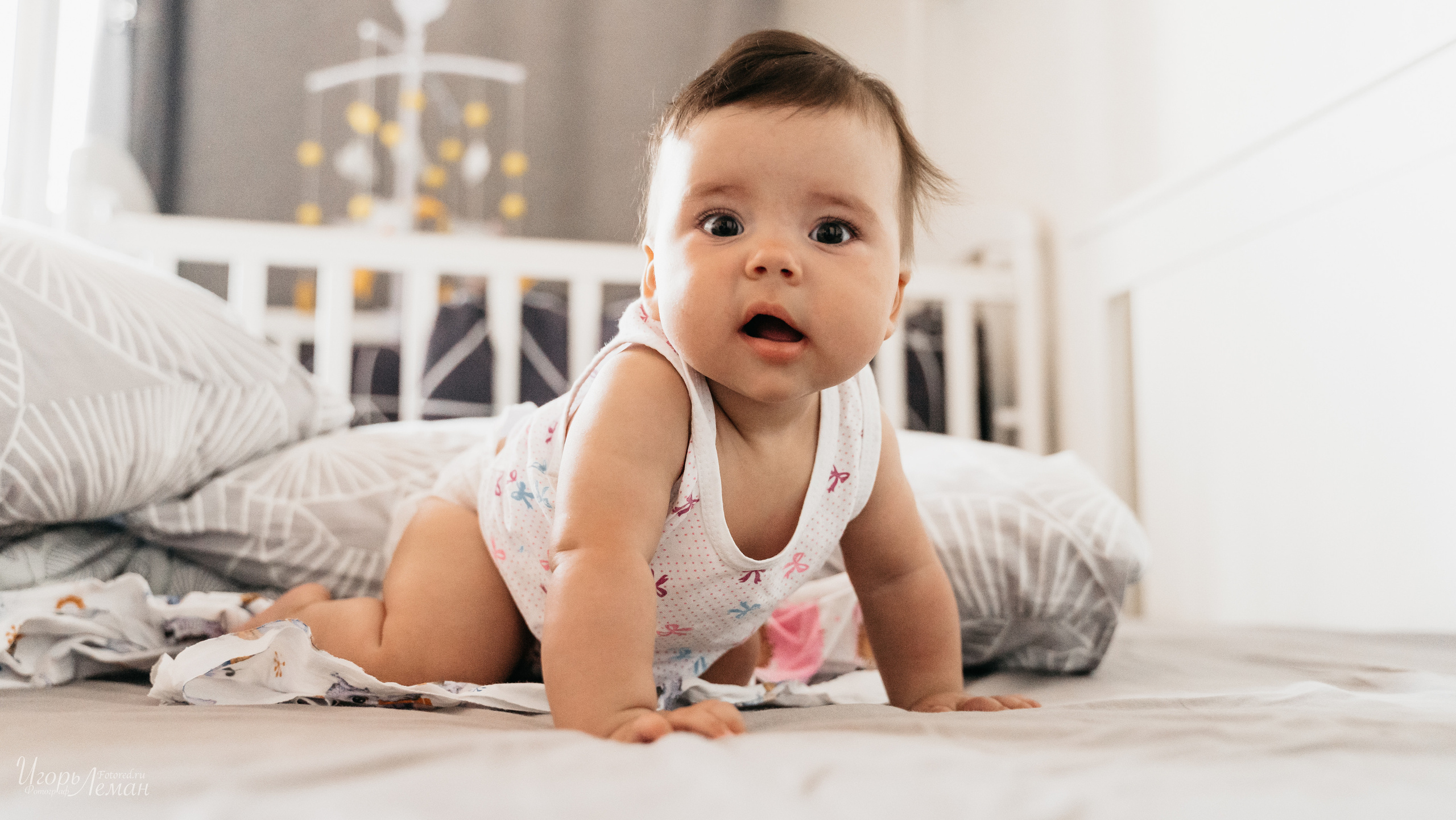 Детская. Свадебный и семейный фотограф Калининград Зеленоградск Светлогорск Леман Игорь