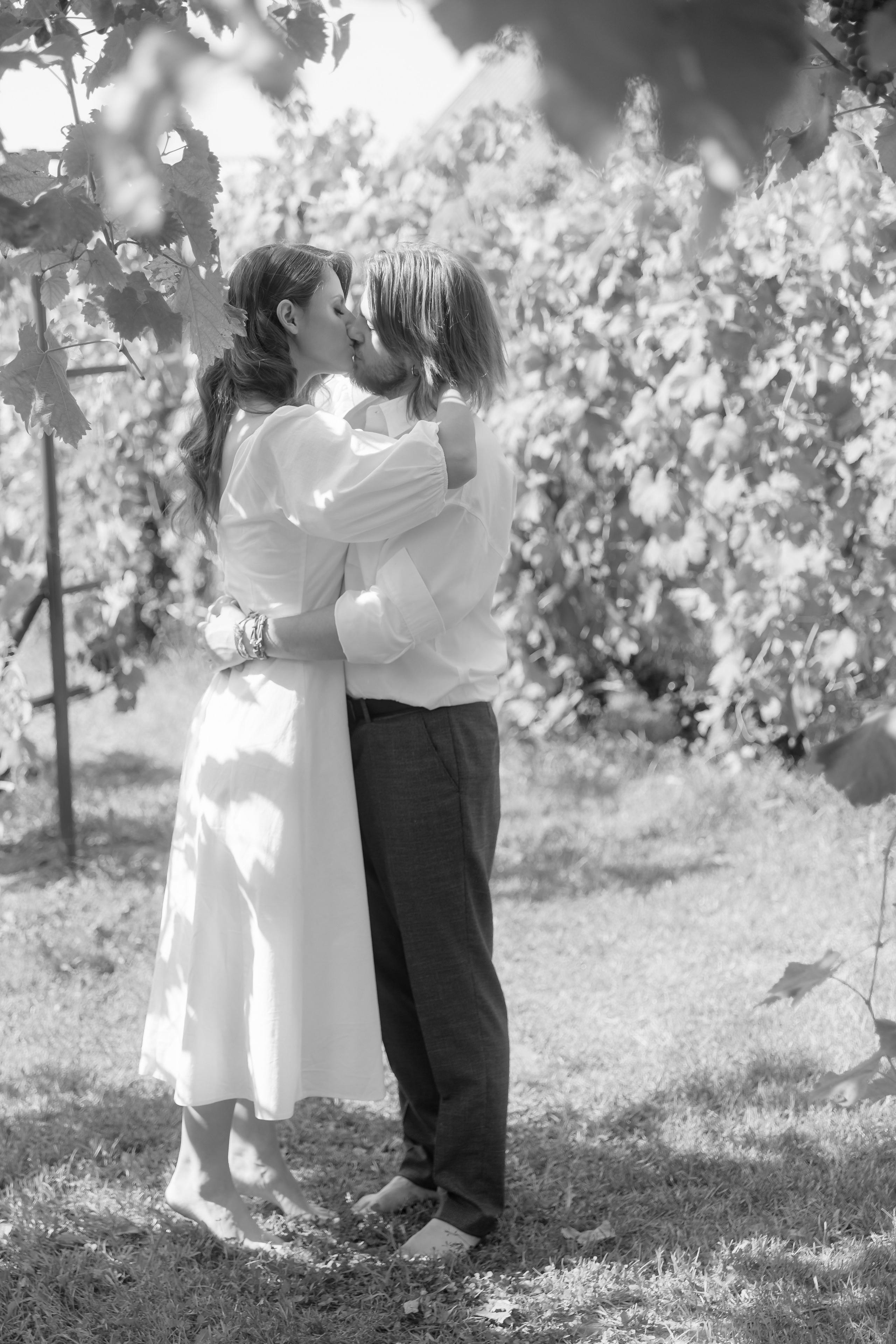 Виноградники. Dima Lemeshevsky