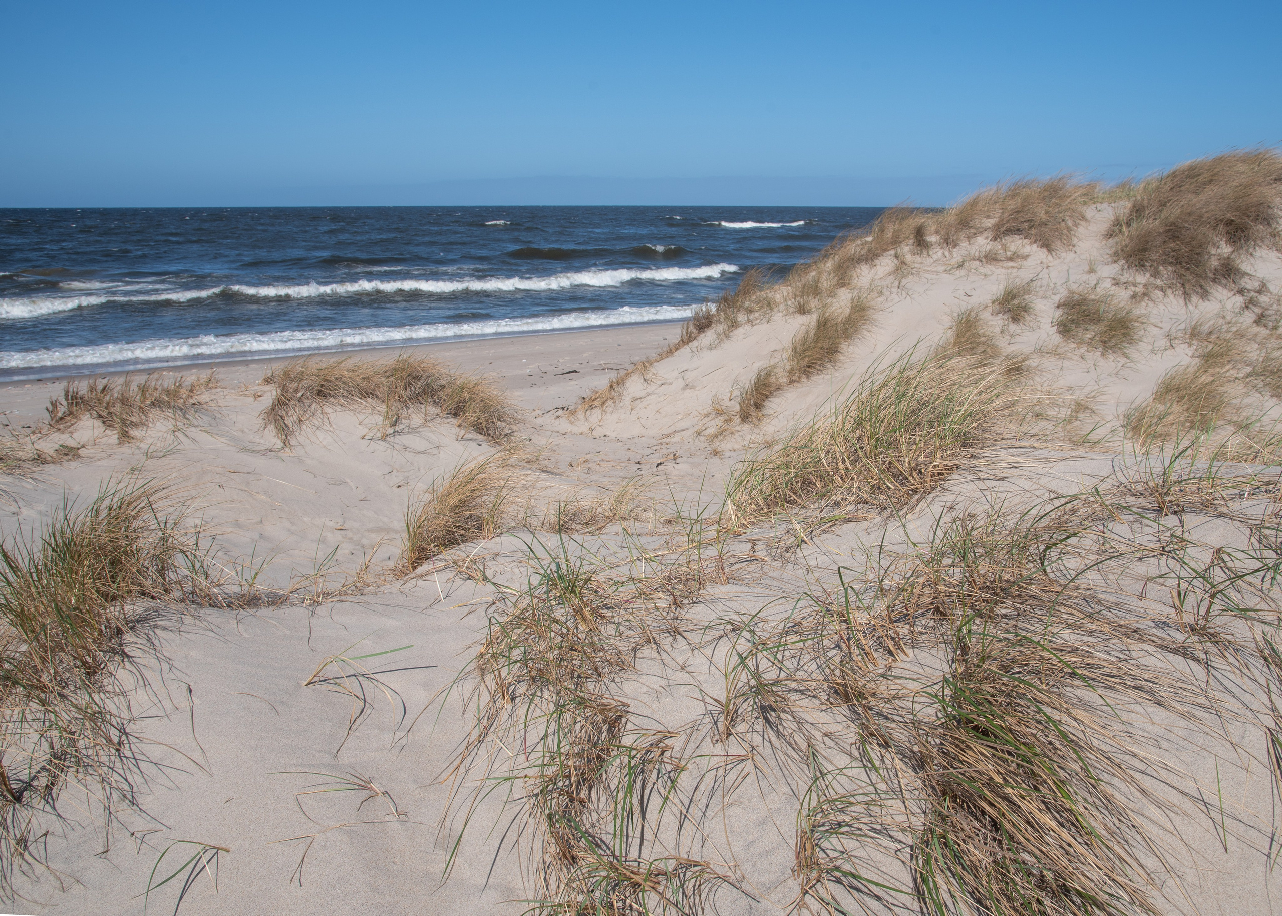 Калининград, Светлогорск. Фотограф Юлия Зимина