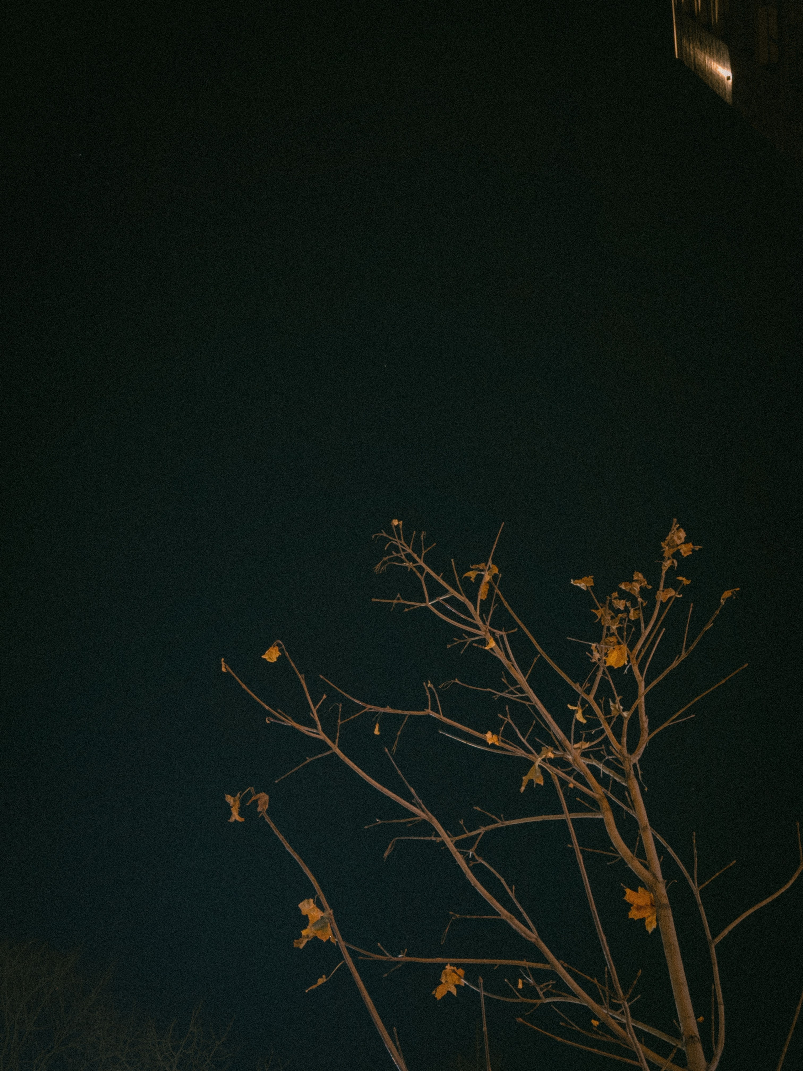 Визуальный дневник. Репортажный фотограф в Алматы Цой Сергей