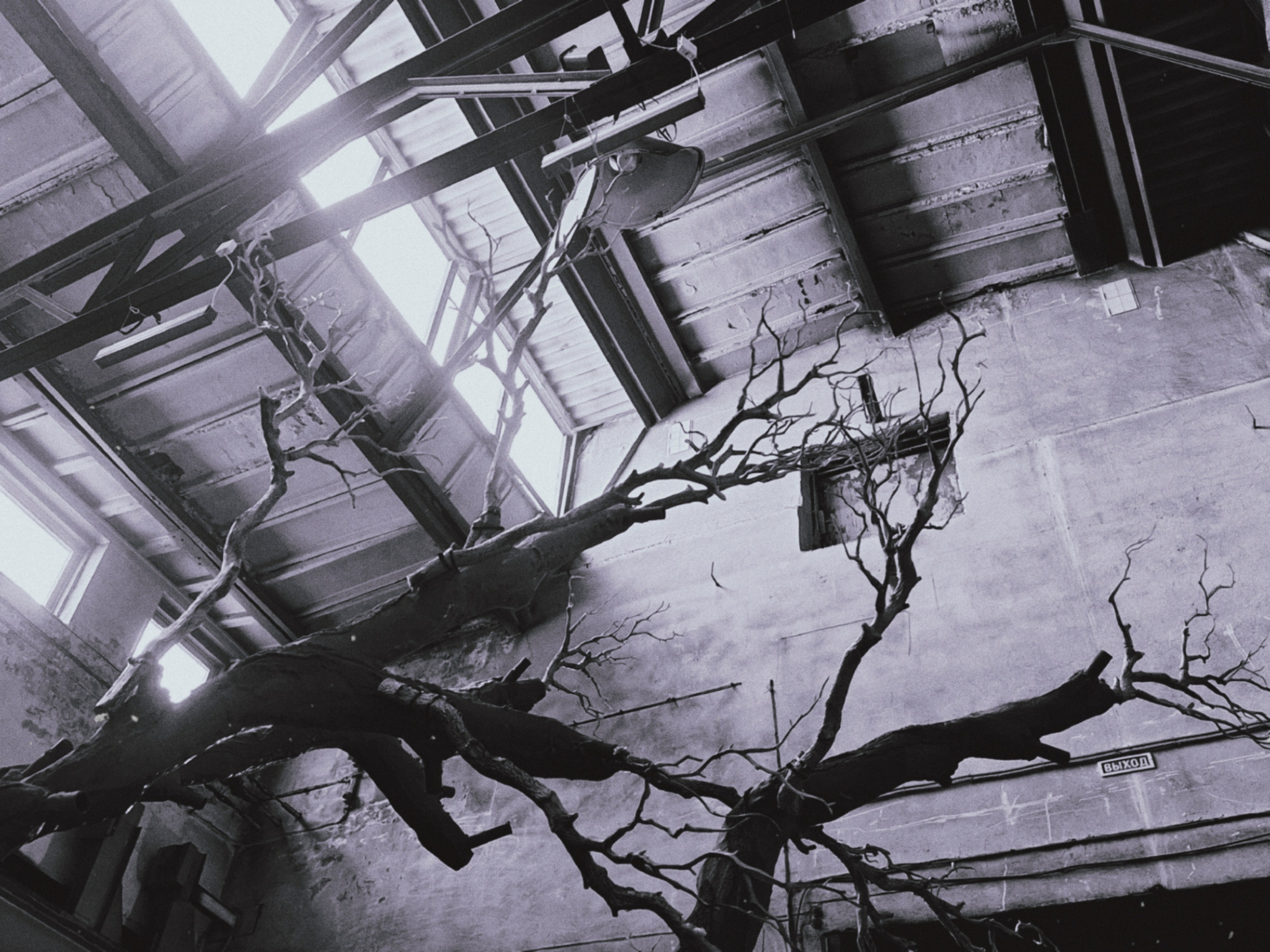 ㅤㅤ. Анна Мильч