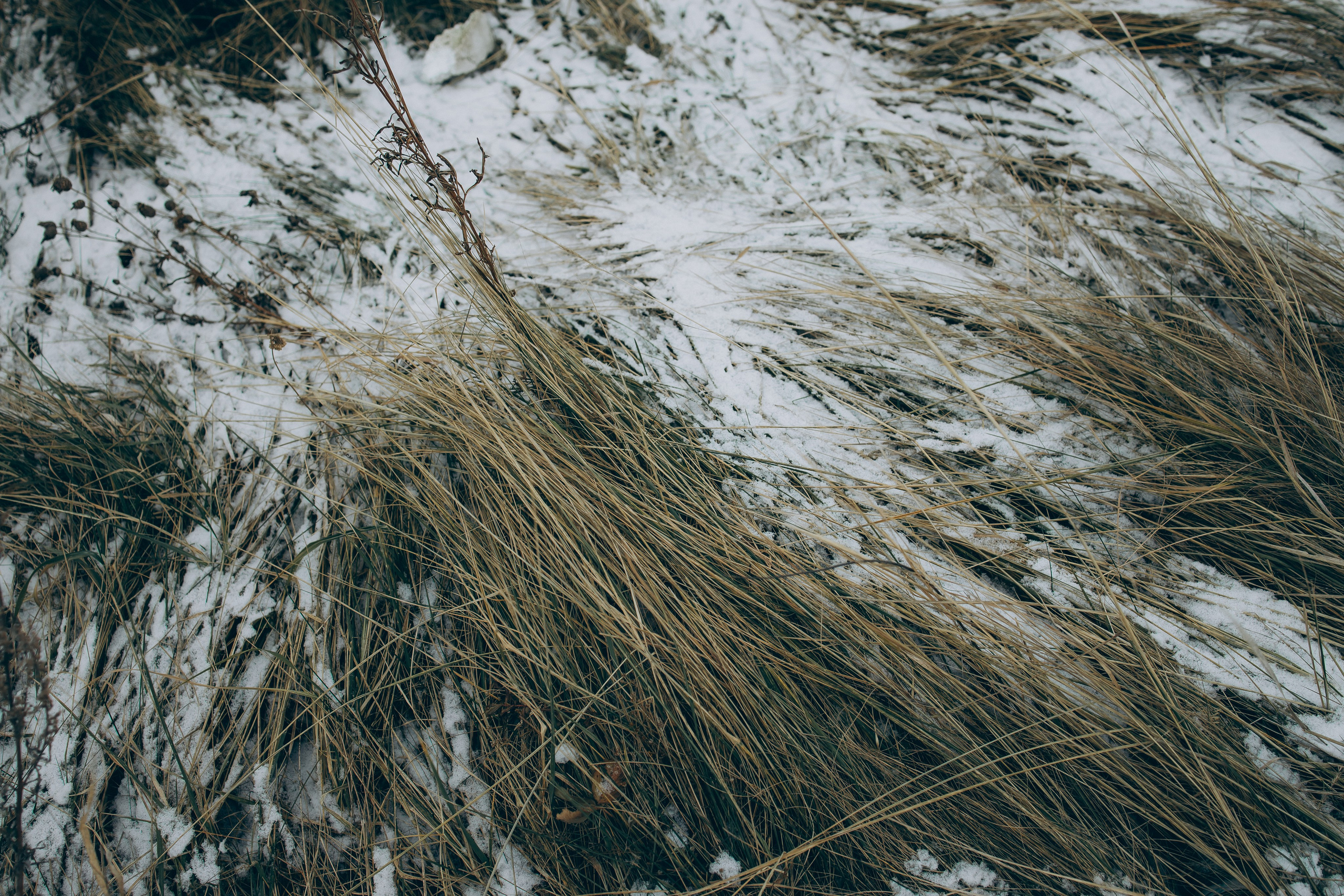 DARia. Фотограф Наталья Карякина|Челябинск