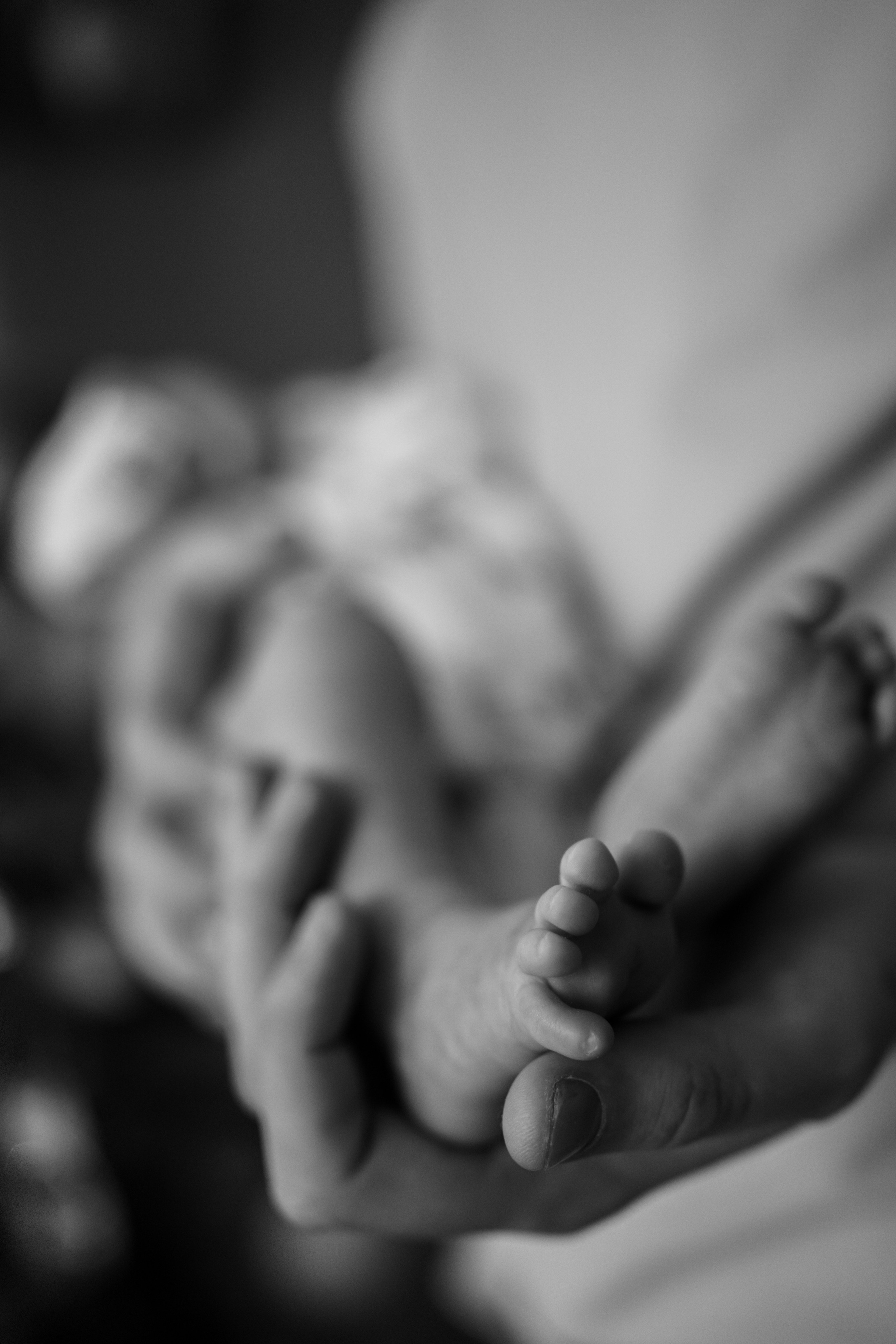 Оля, Коля, Аня, Рита. Фотограф грудного вскармливания в Москве Екатерина