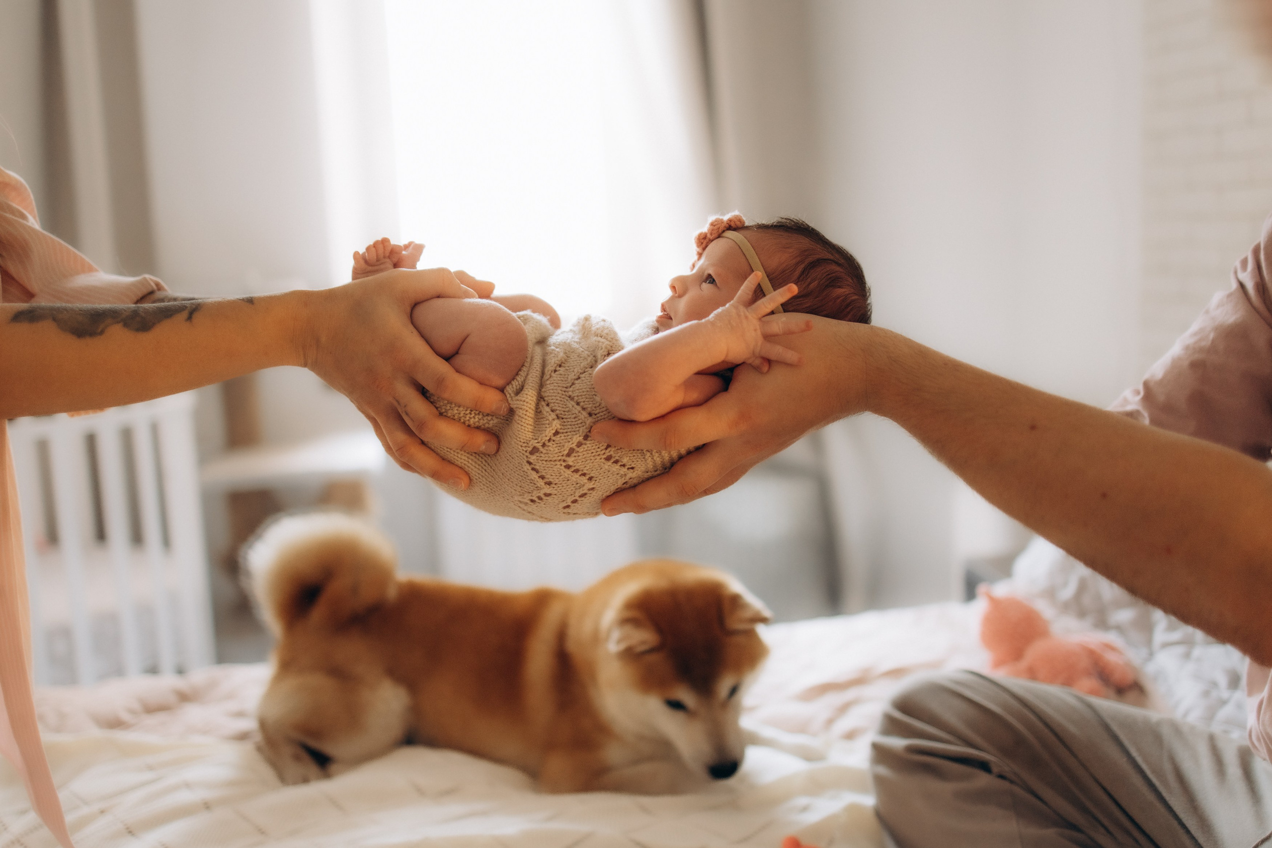 Малышка Луна. Семейный, ньюборн newborn фотограф, фотограф новорождённых в Санкт-Петербурге, Пушкине, Павловске. Павлова Анастасия