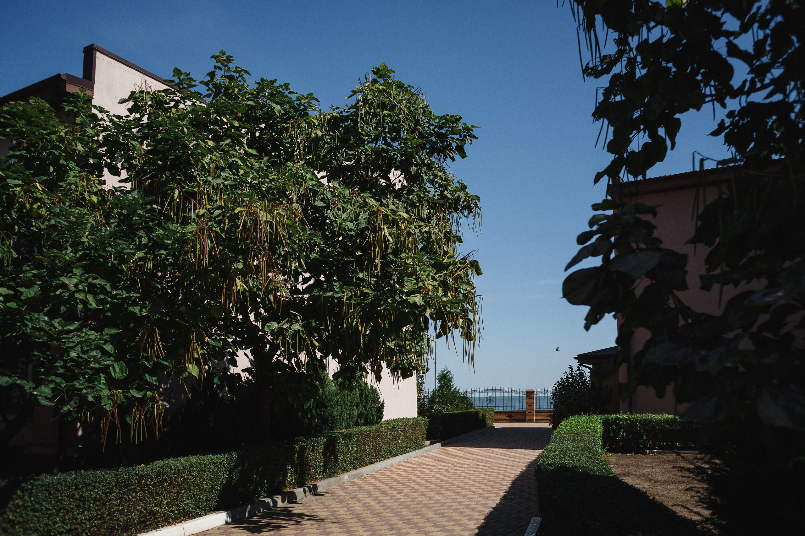 Фотограф в Таганроге летняя свадьба: Романтическая свадебная прогулка. Свадебный и семейный фотограф в Таганроге Бакарюк Антон