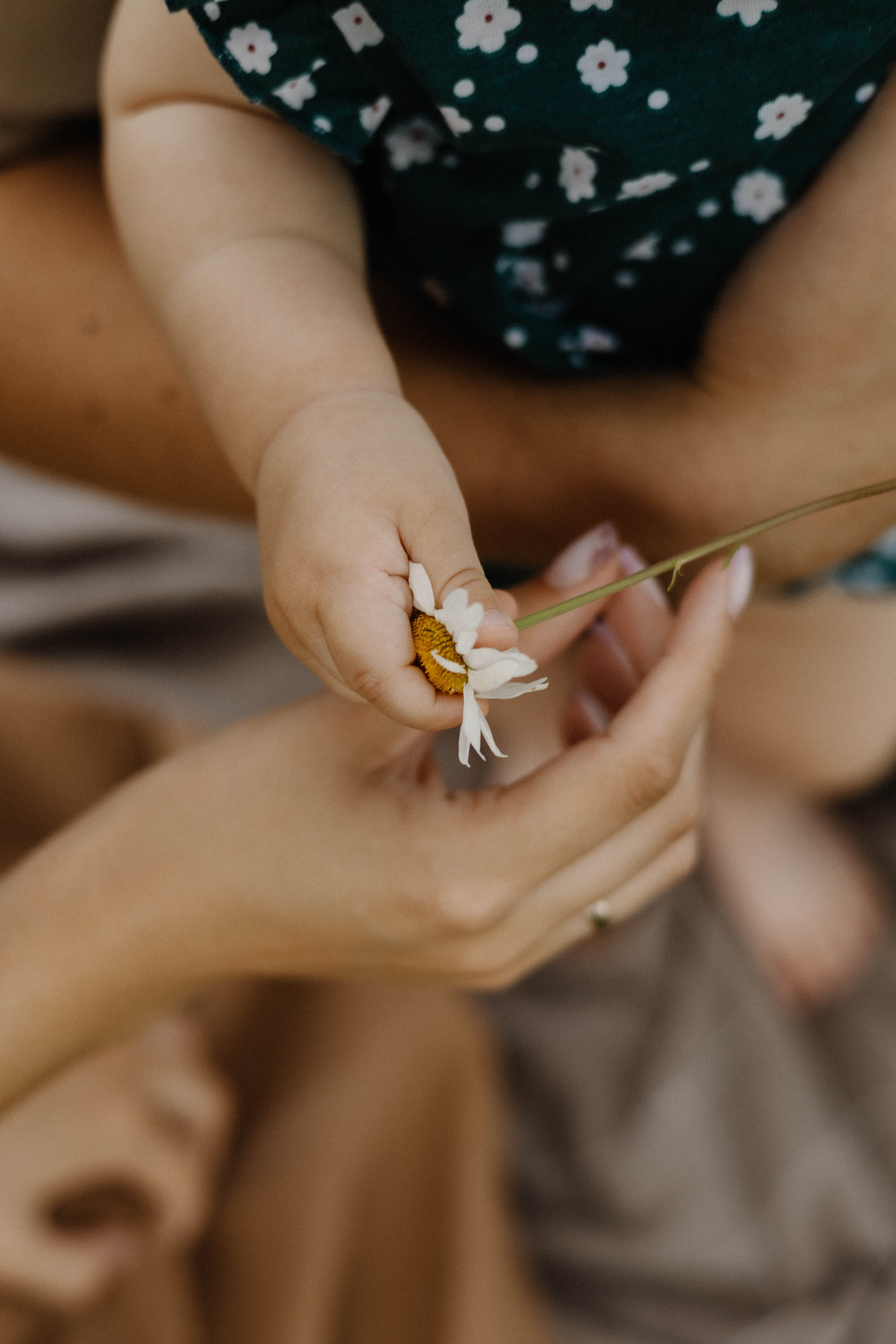 Семейные съемки. Семейный и репортажный фотограф в Пскове Виктория Колесникова