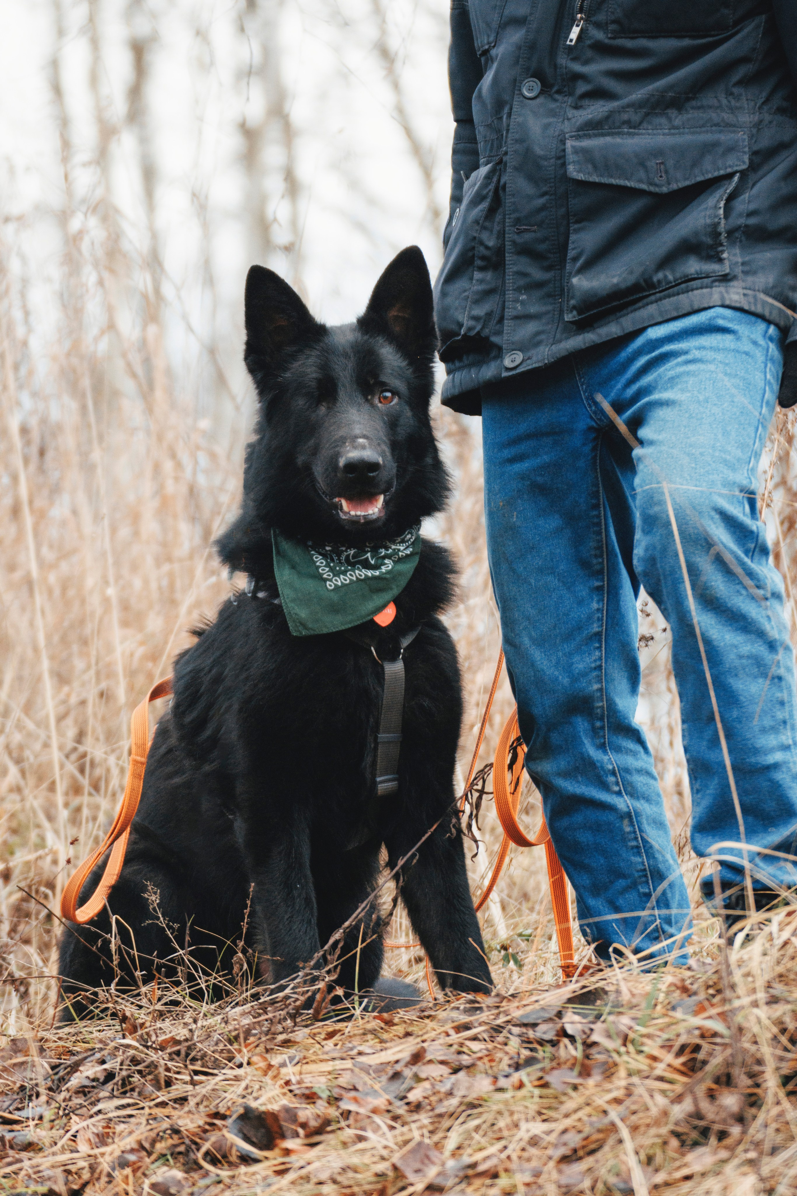 В поисках дома. Стас Соболь, фотограф анималист, репортажник, Москва