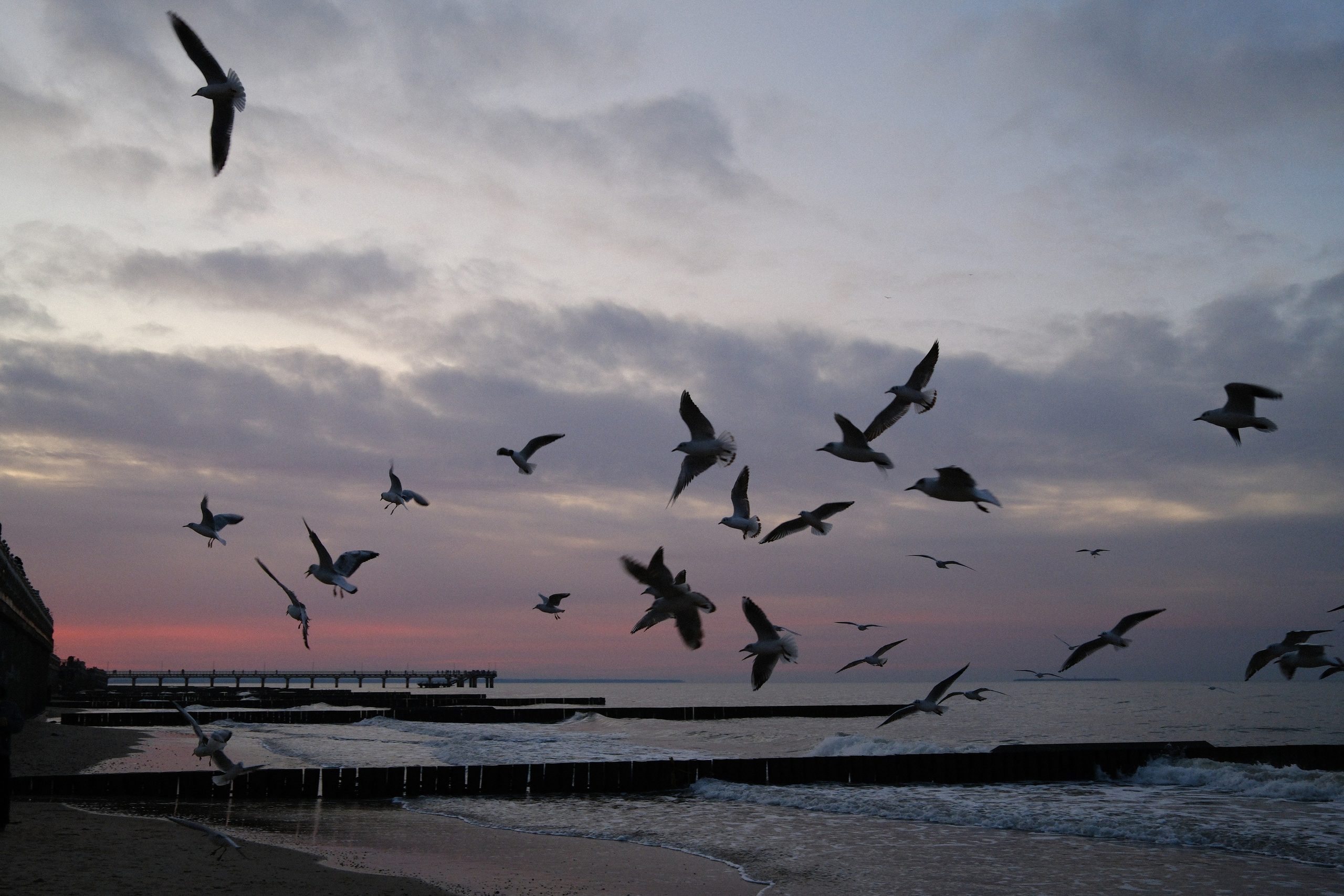 Зеленоградск. Калининградская область. Алексей Торопов фотограф