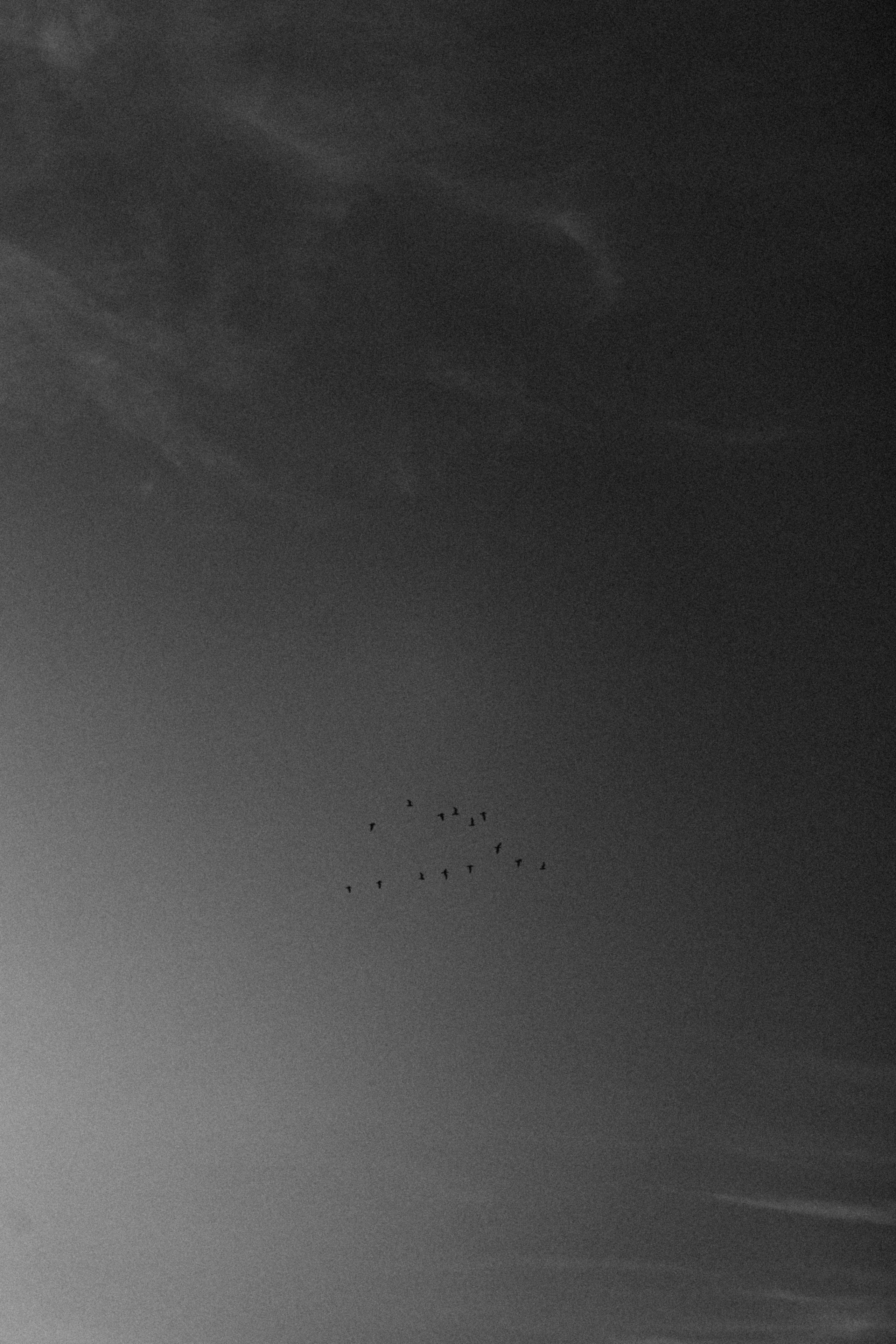 Фотограф Ростов Москва | обучение фотографии