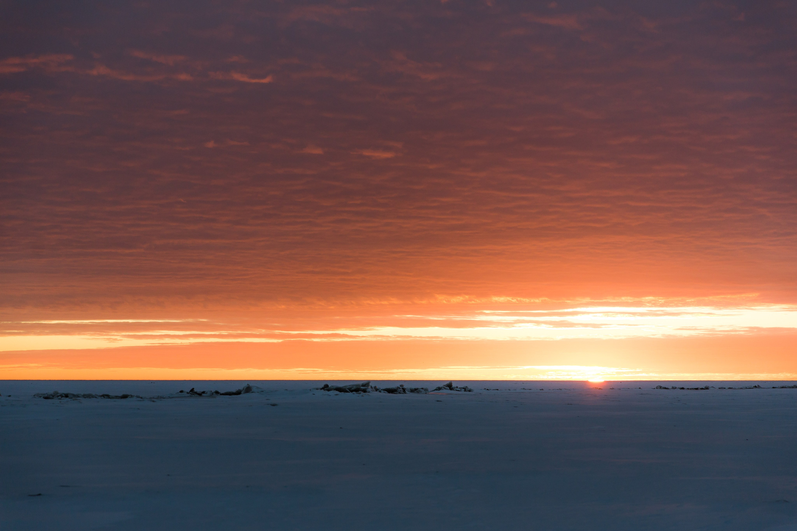 Идеи для фотосессии в СПб: Финский залив на закате (портреты)