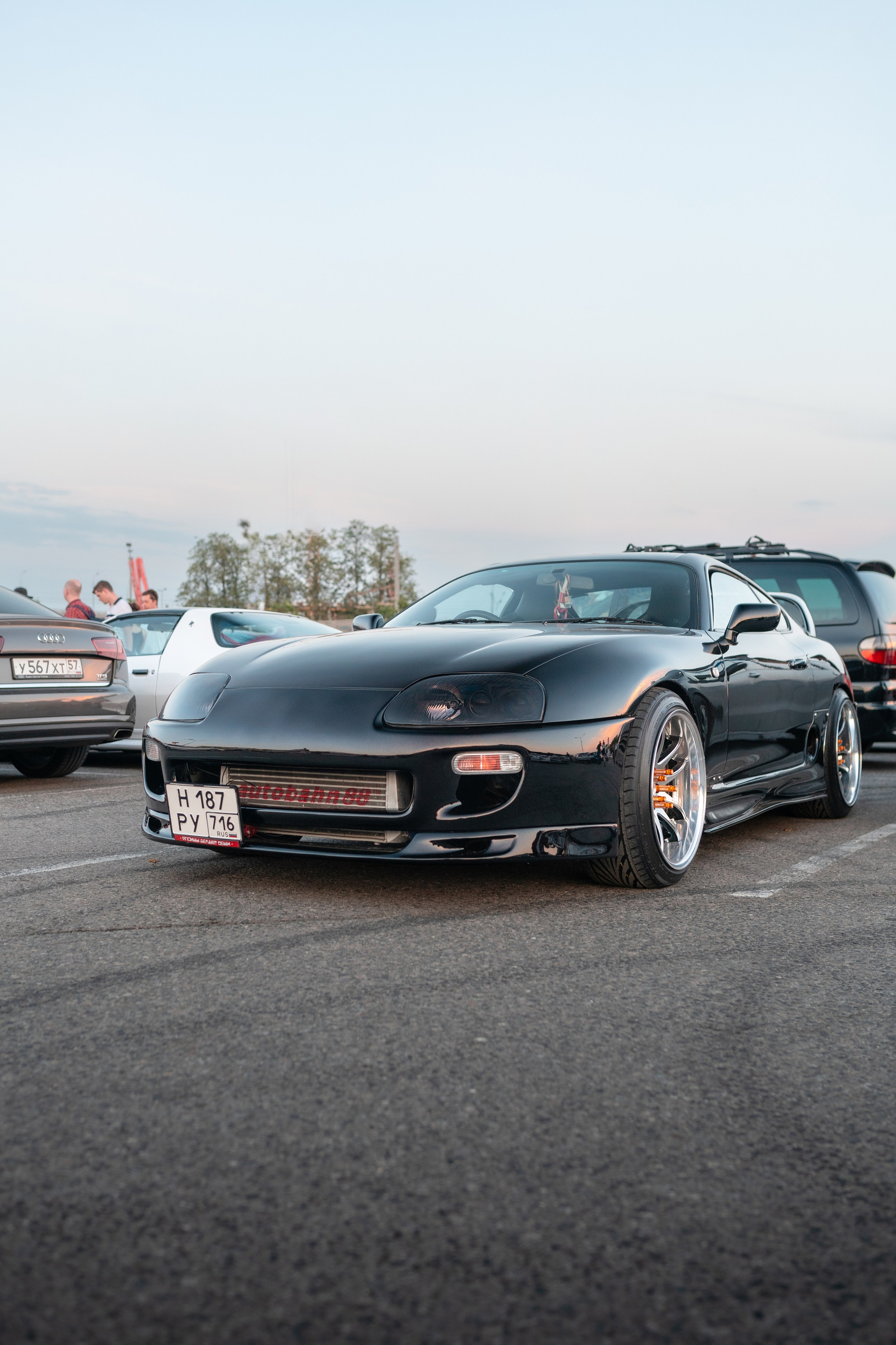 DOWNFLY | 13.07.2024. Mirllaev