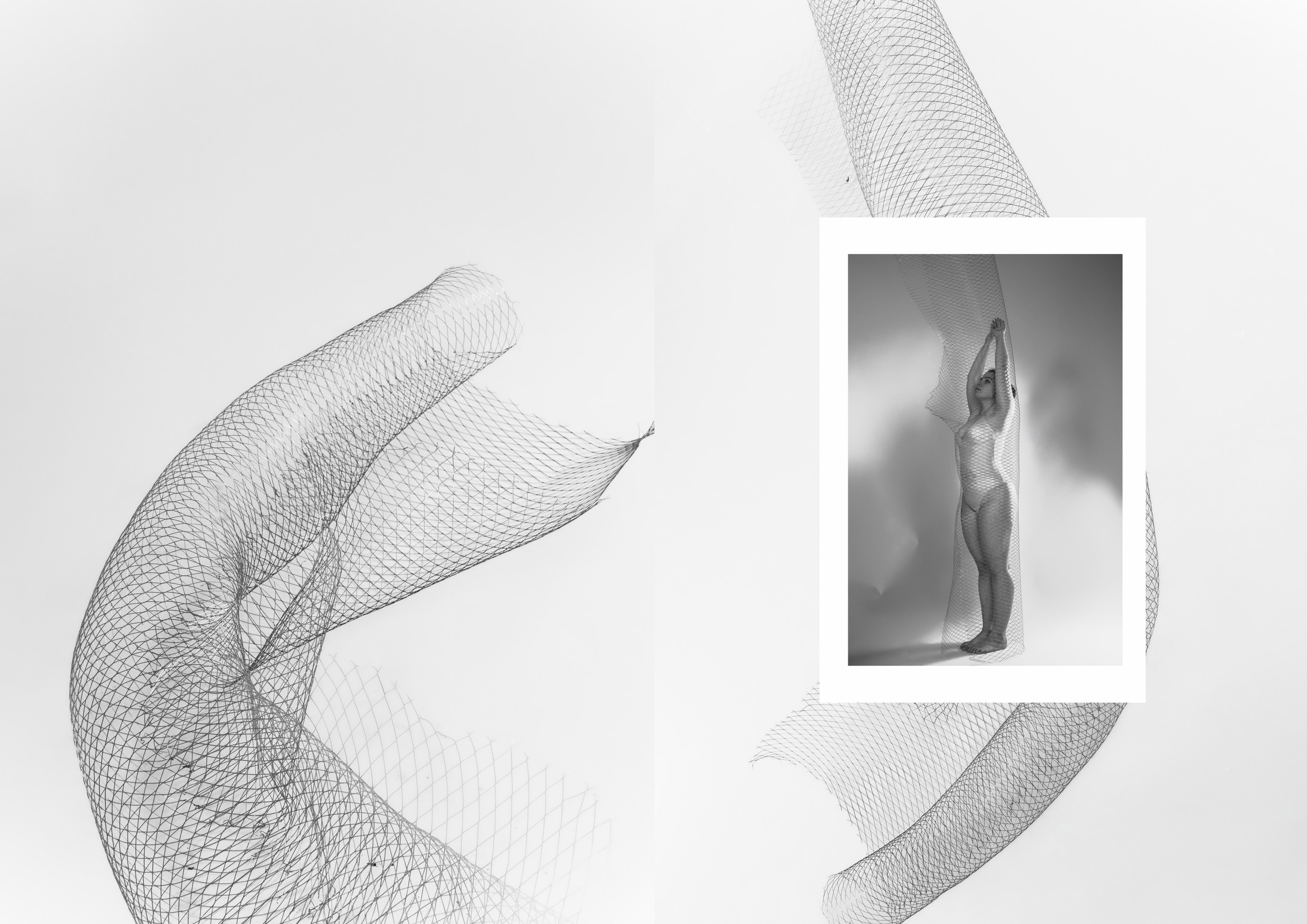 Пружина. Фотограф Елена Копылова, Санкт-Петербург