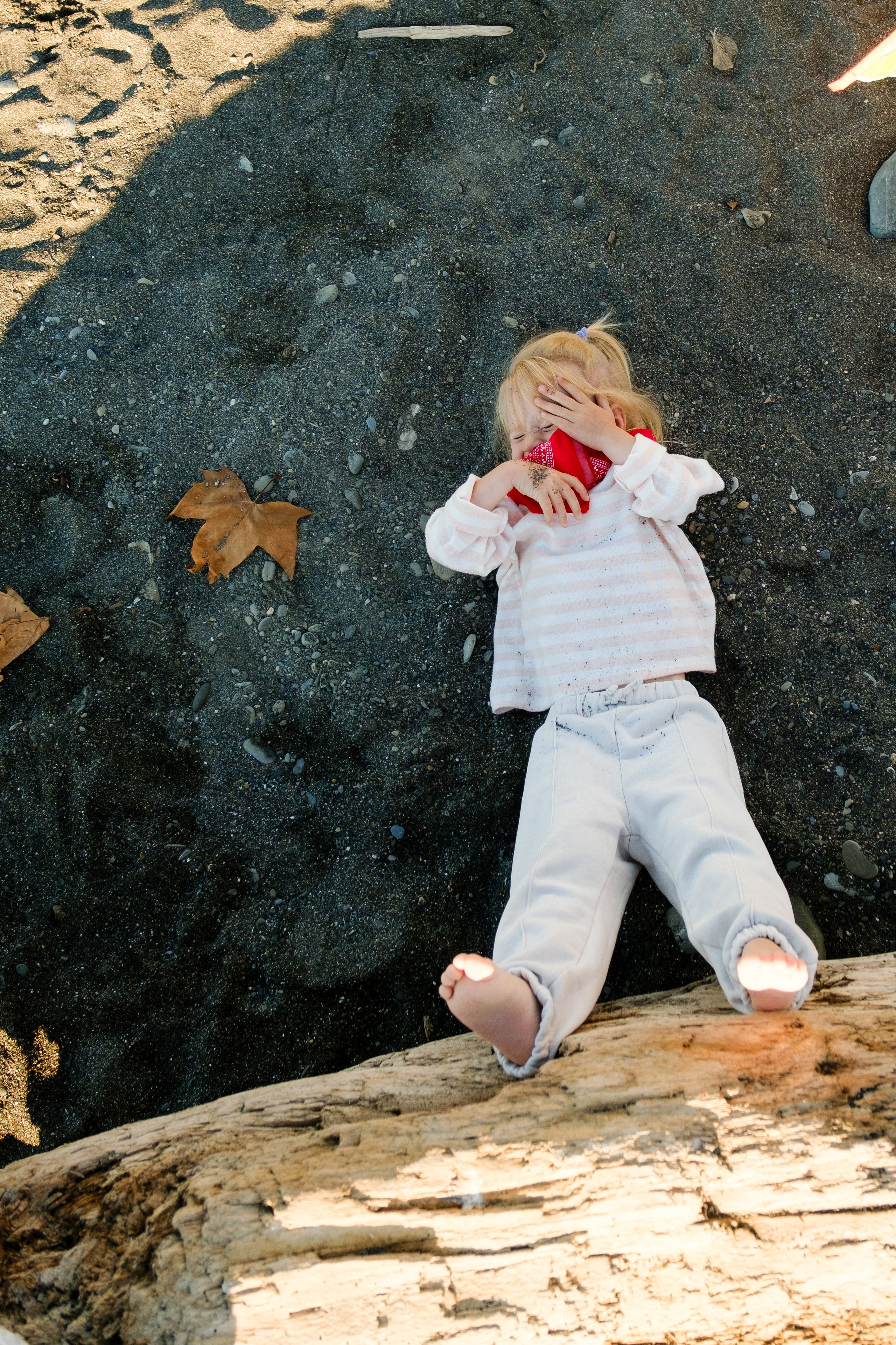 Воздушный змей. Свадебный Видеограф Фотограф в Сочи