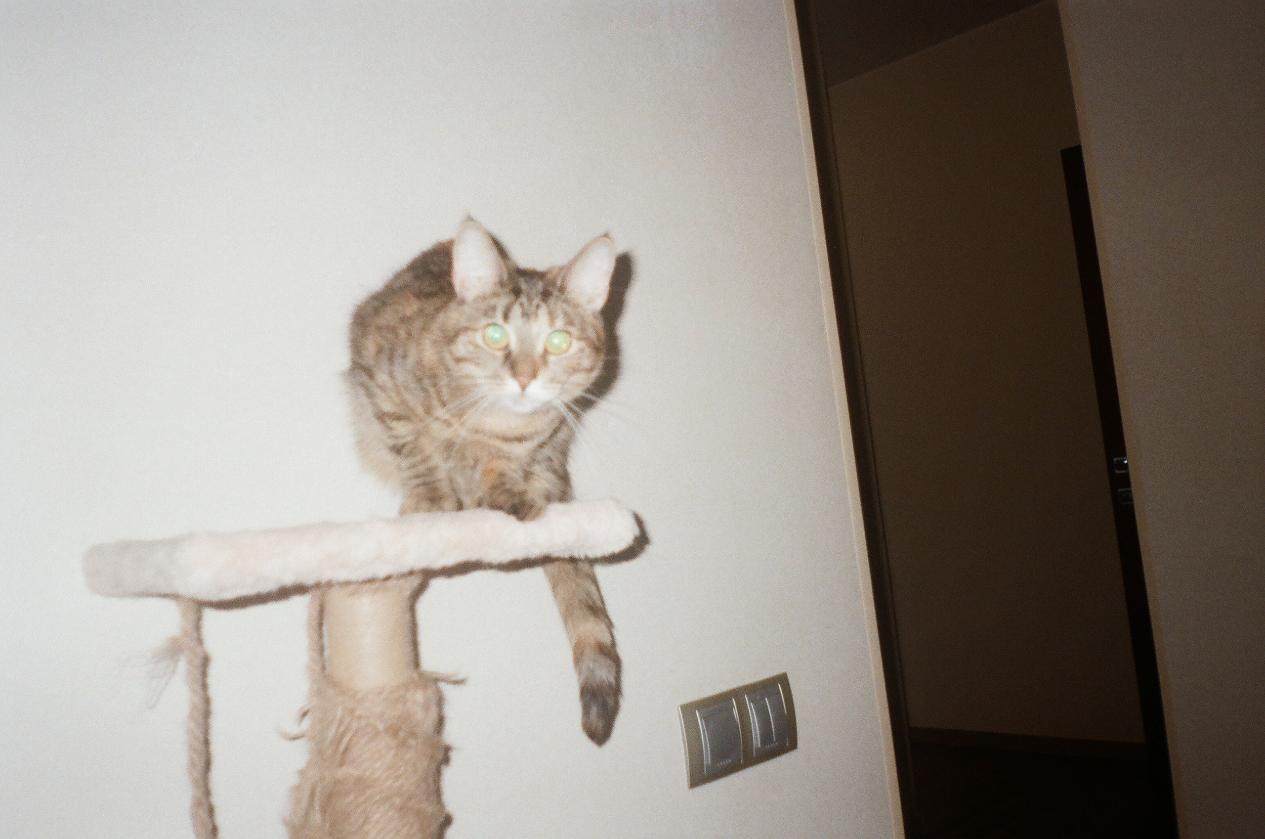 Плёнка. Человек в Шляпе