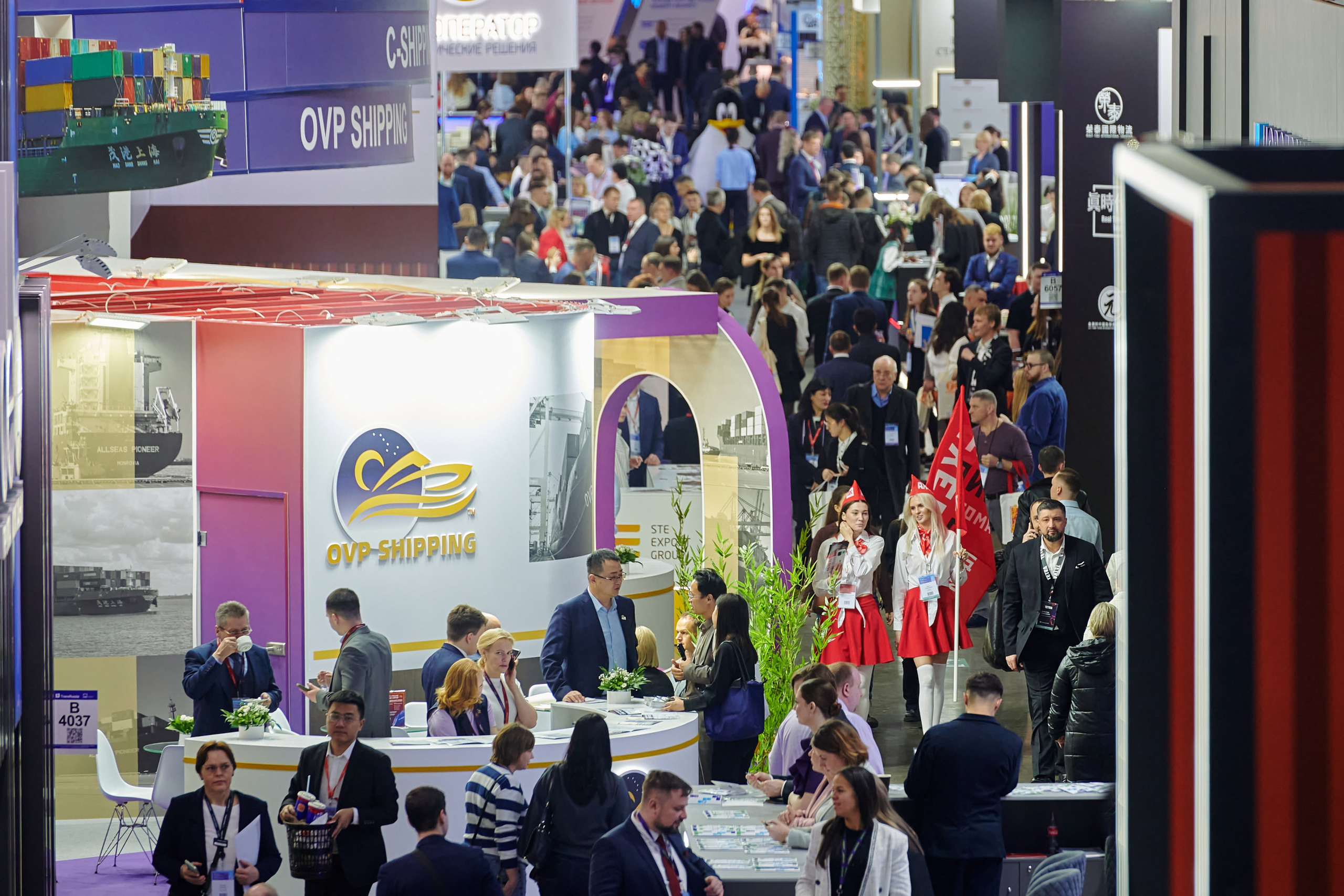 Выставки. Solofilms