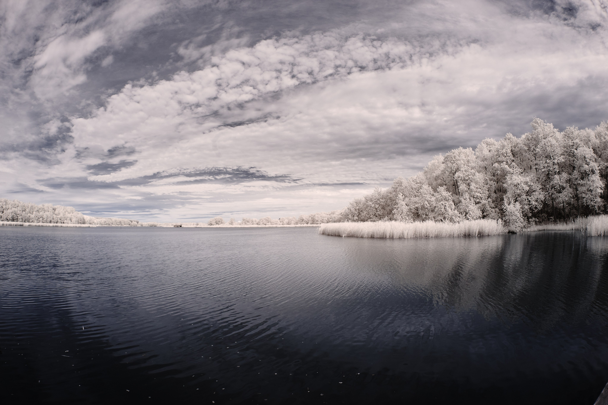 Infrared Photography. Solofilms