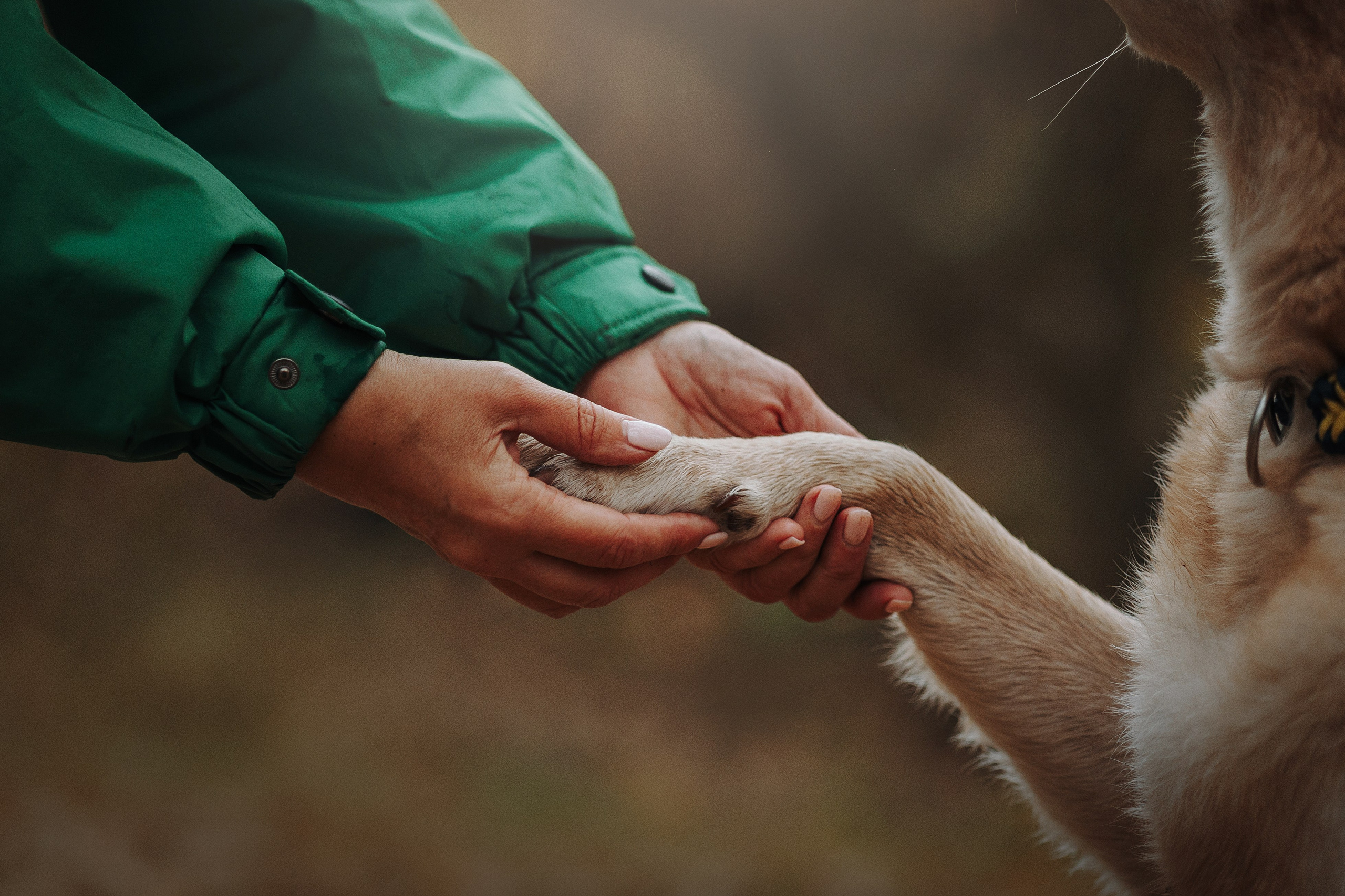 Оксана и Барон. Фотограф — Анималист | Санкт-Петербург