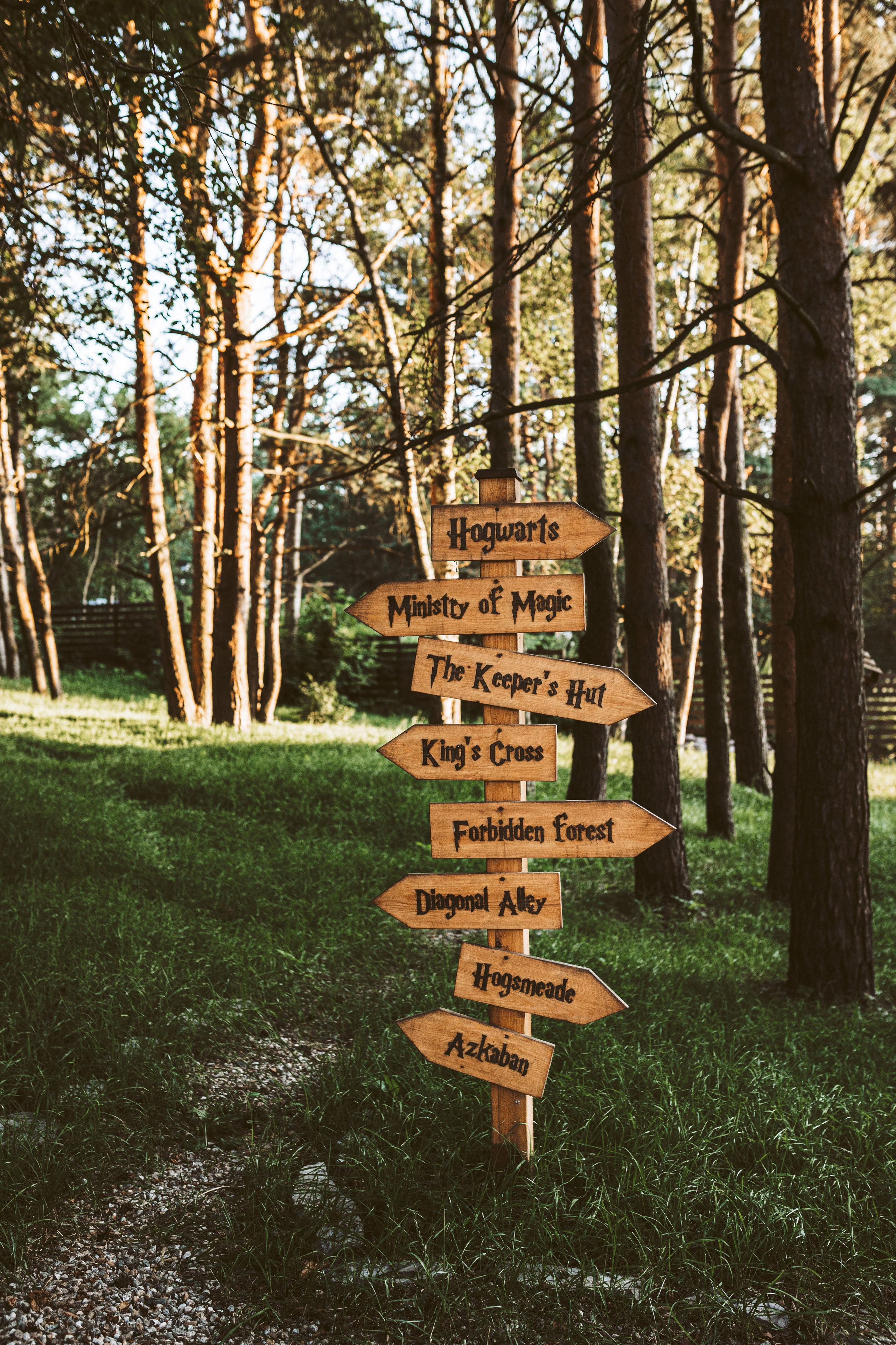 Хижина Хагрида. Свадебный фотограф Курзина Ольга | Москва