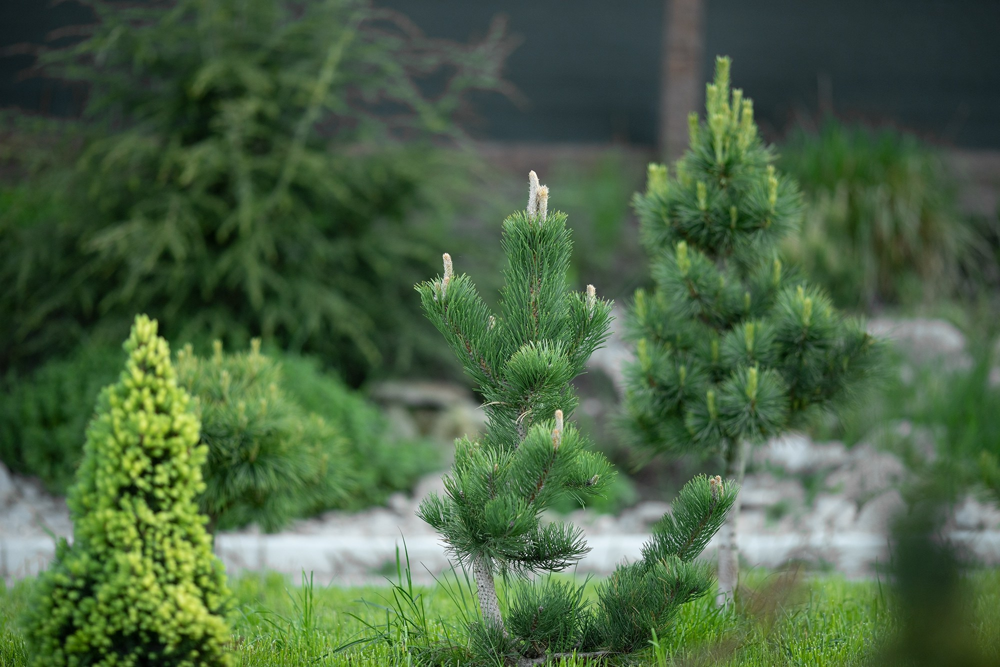 Парк-заповедник Купидон. Семейный фотограф в Димитровграде Елена Патрушева