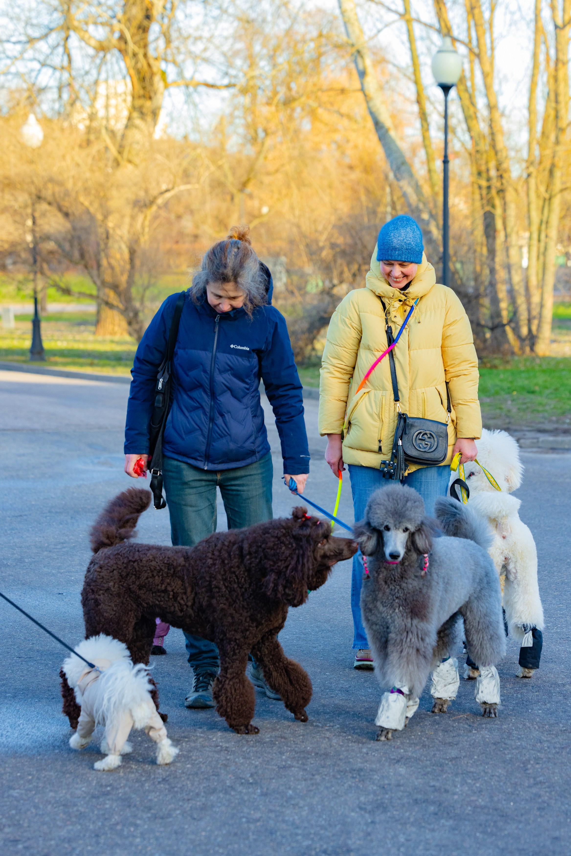 Клуб грумеров (прогулка и семинары). Виктория Зудина — фотограф в Москве