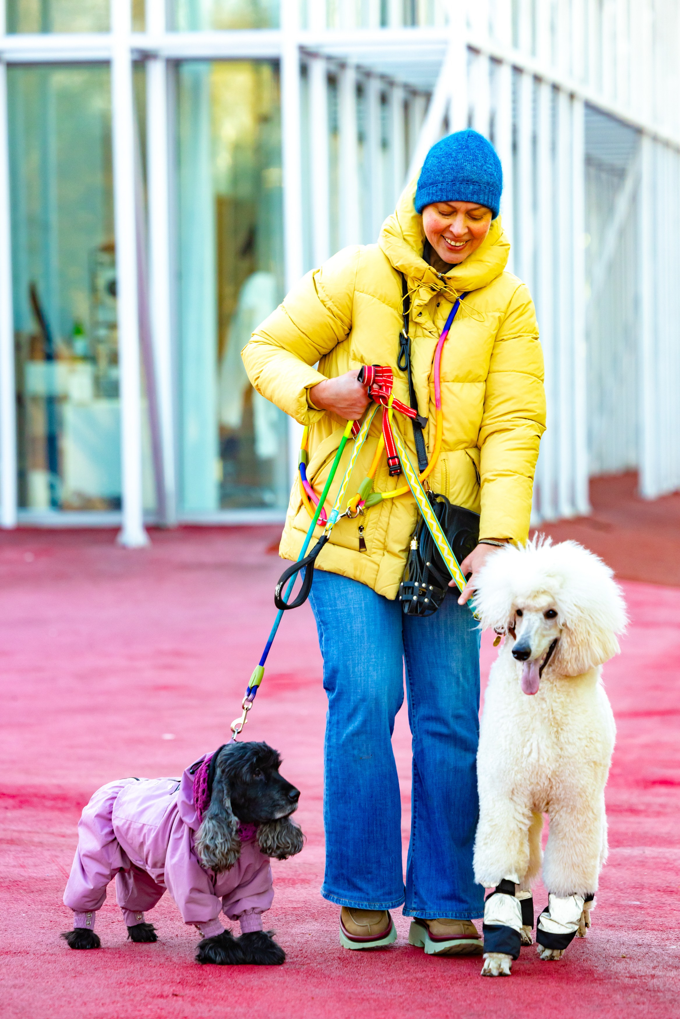 Клуб грумеров (прогулка и семинары). Виктория Зудина — фотограф в Москве