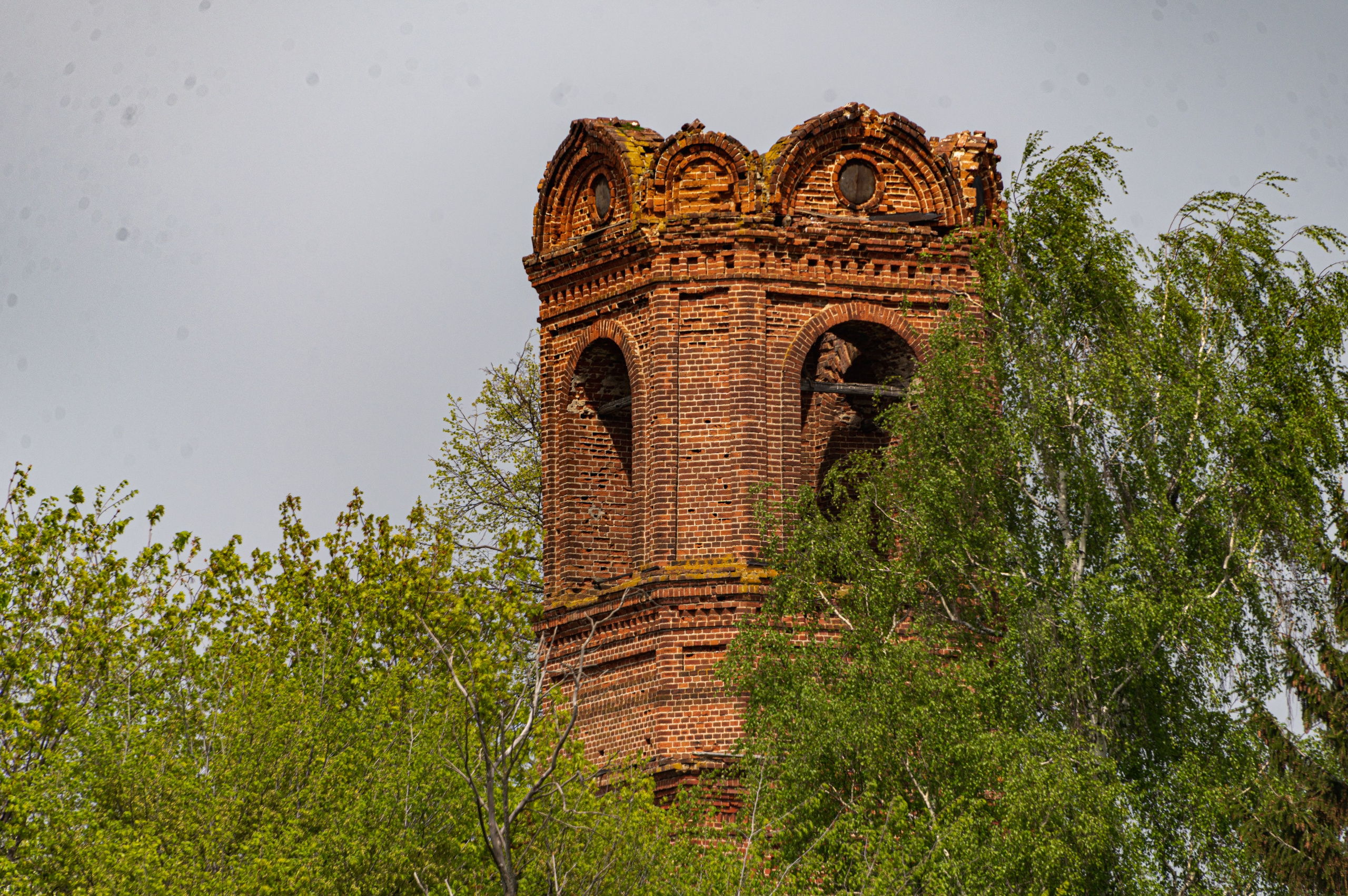 Суздаль. Май 2023. Фотограф Роман Адлер